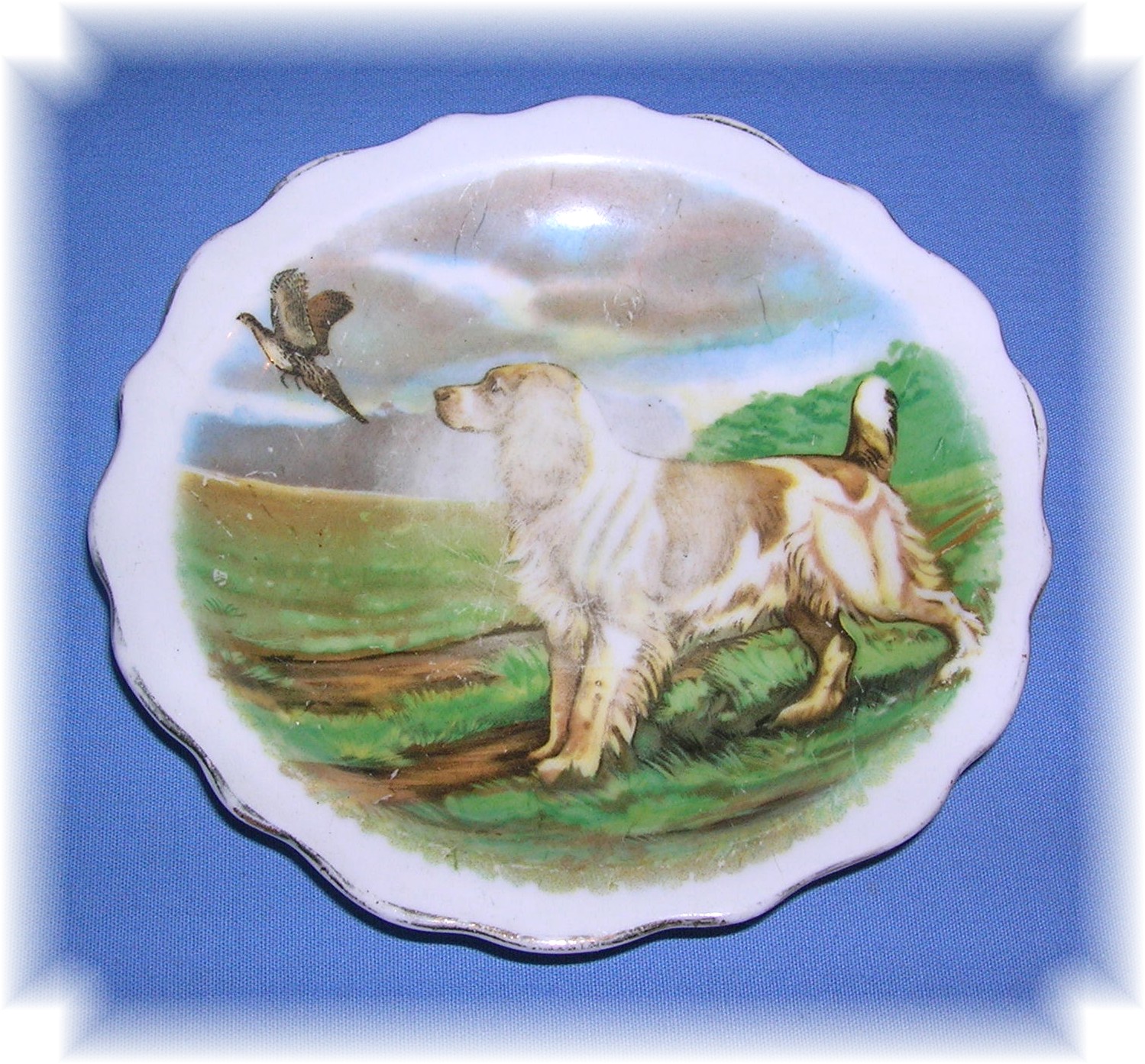 Roslyn Fine Bone China Plate Made In England.