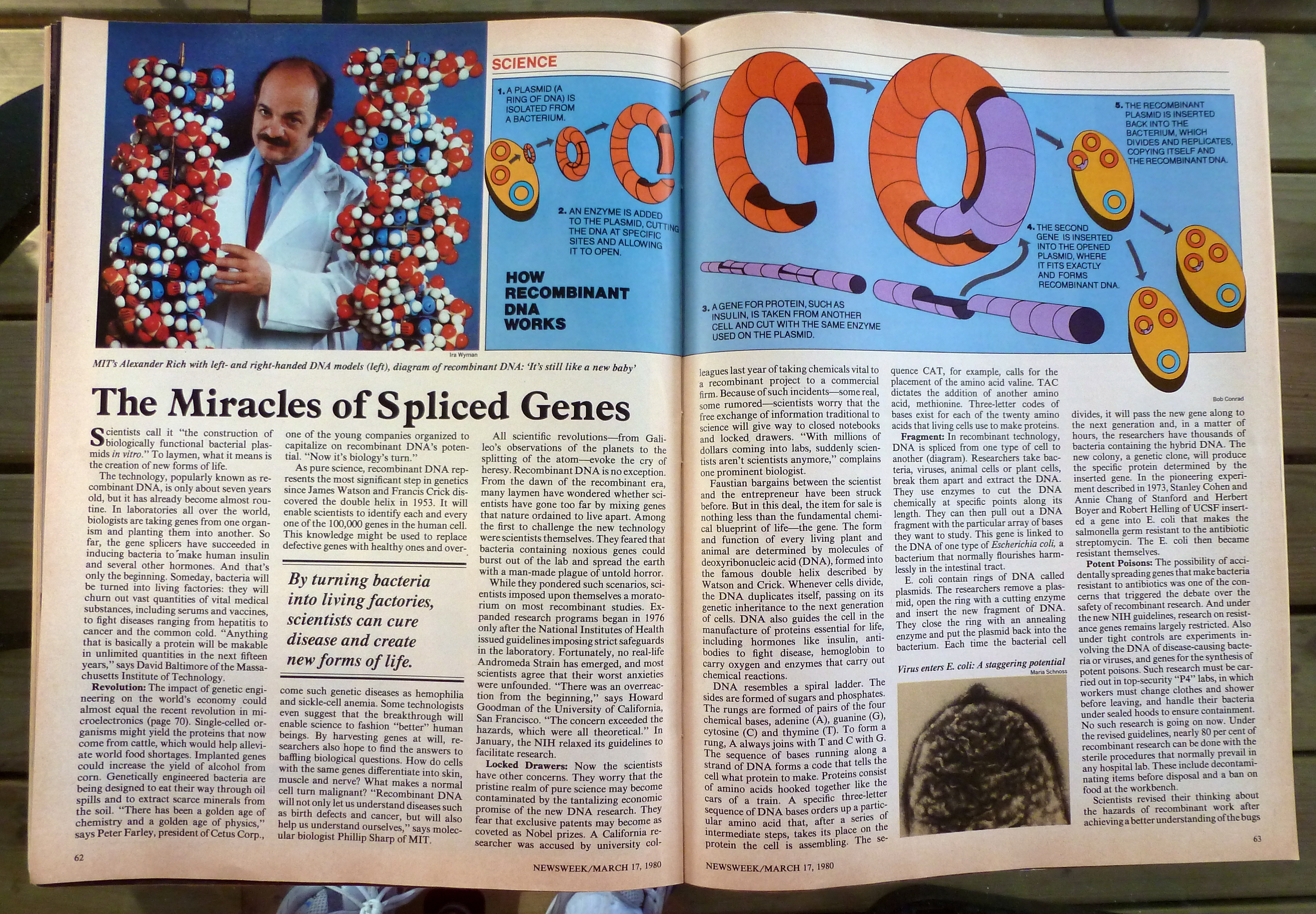 Newsweek Magazine-March 17, 1980-DNA Miracles