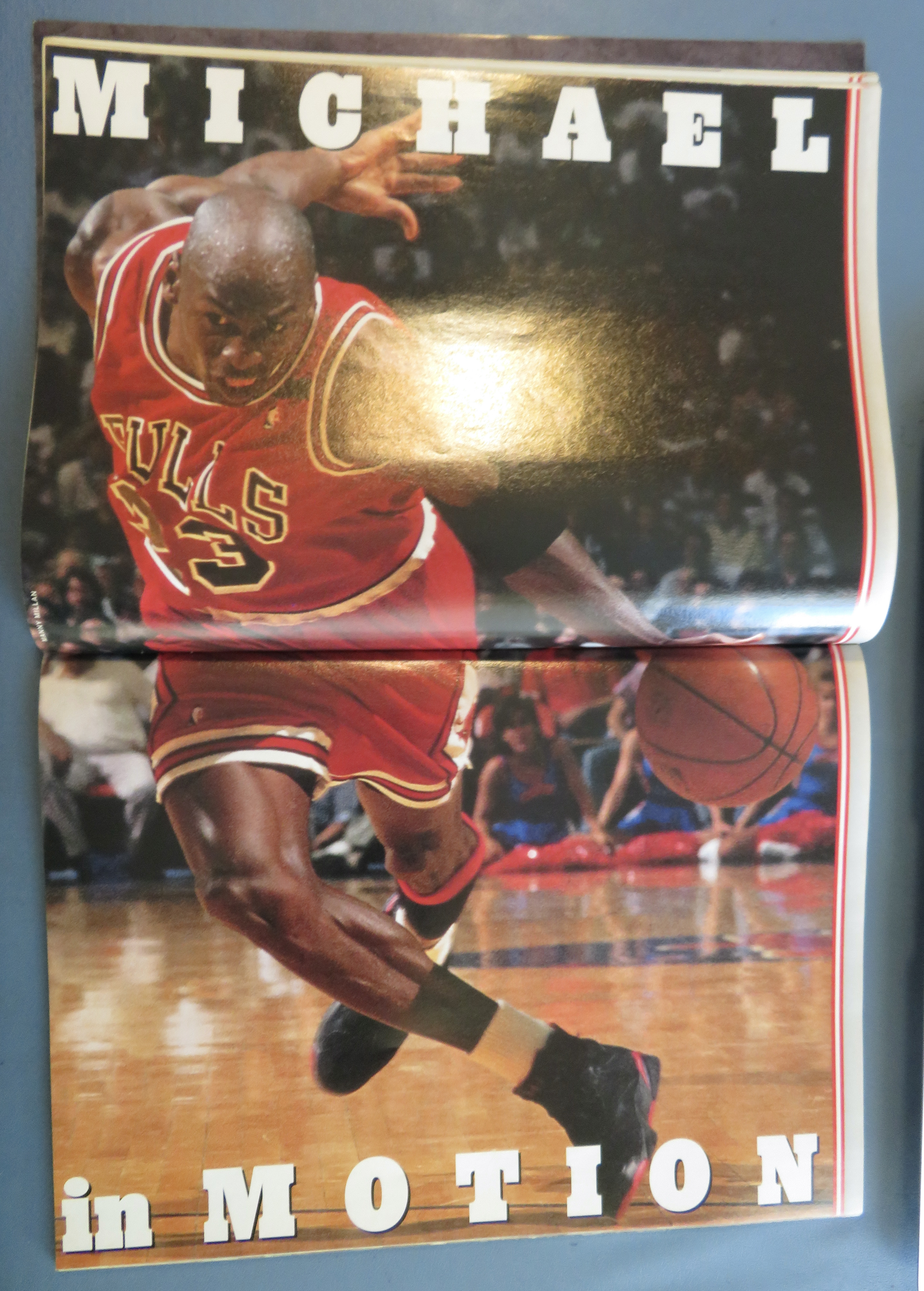 Sports Illustrated 1993 Chicago Bulls: Michael Jordan