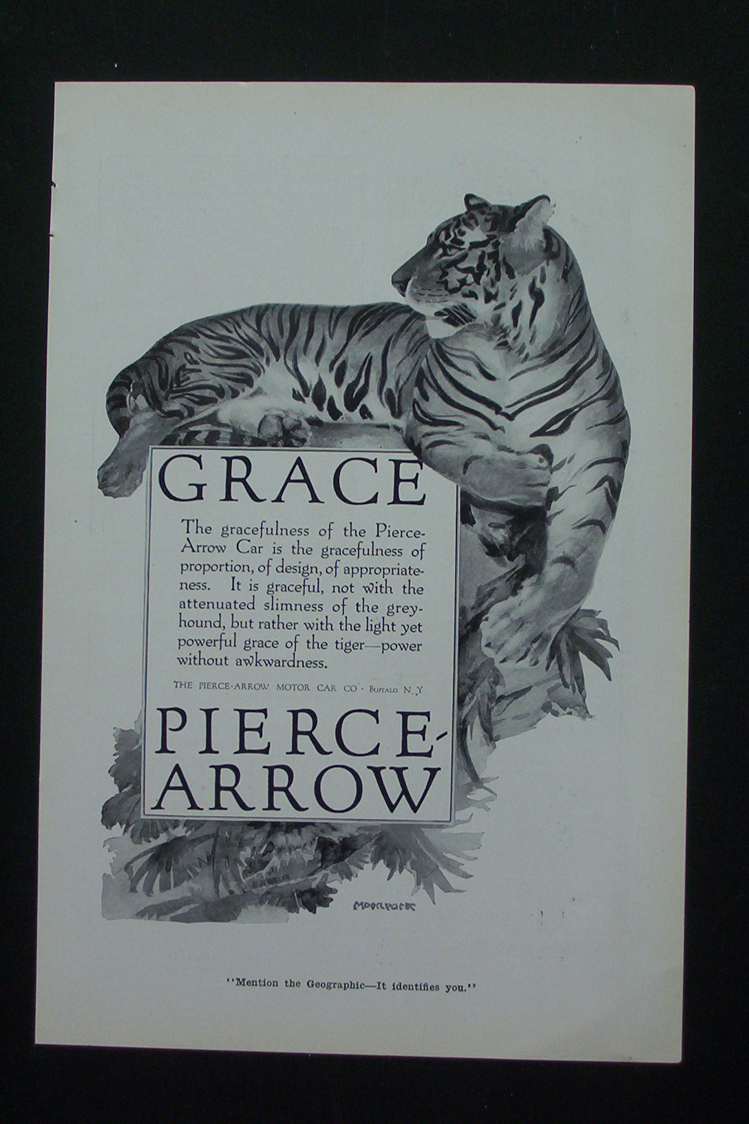1917 Pierce Arrow with Tiger Laying Down
