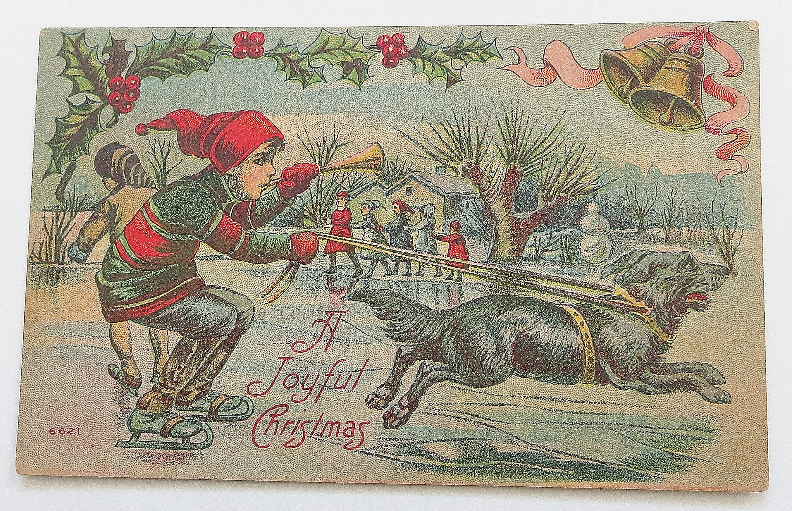 Boy In Ice Skates Being Pulled By Dog