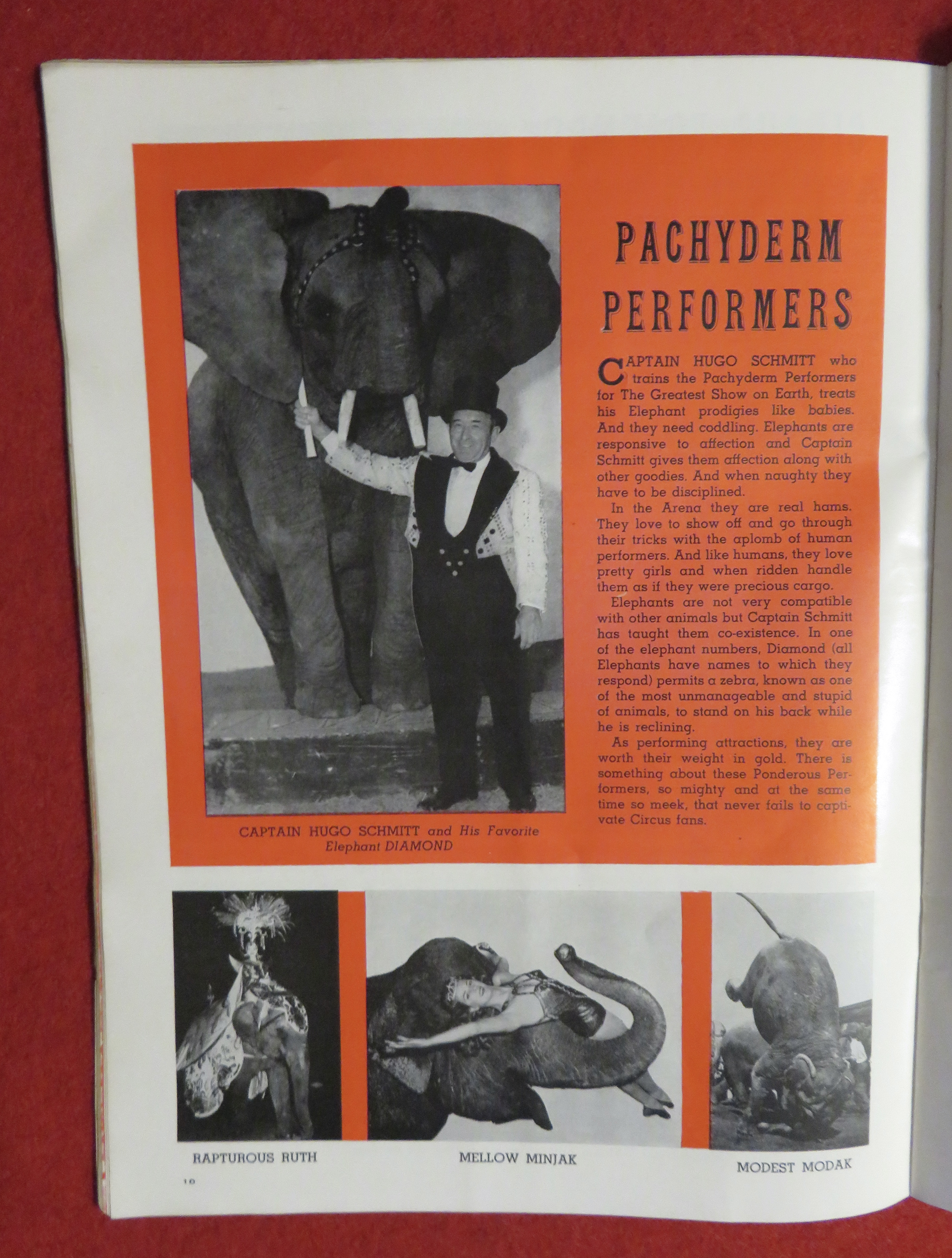 Ringling Bros Barnum & Bailey Circus Program 1962