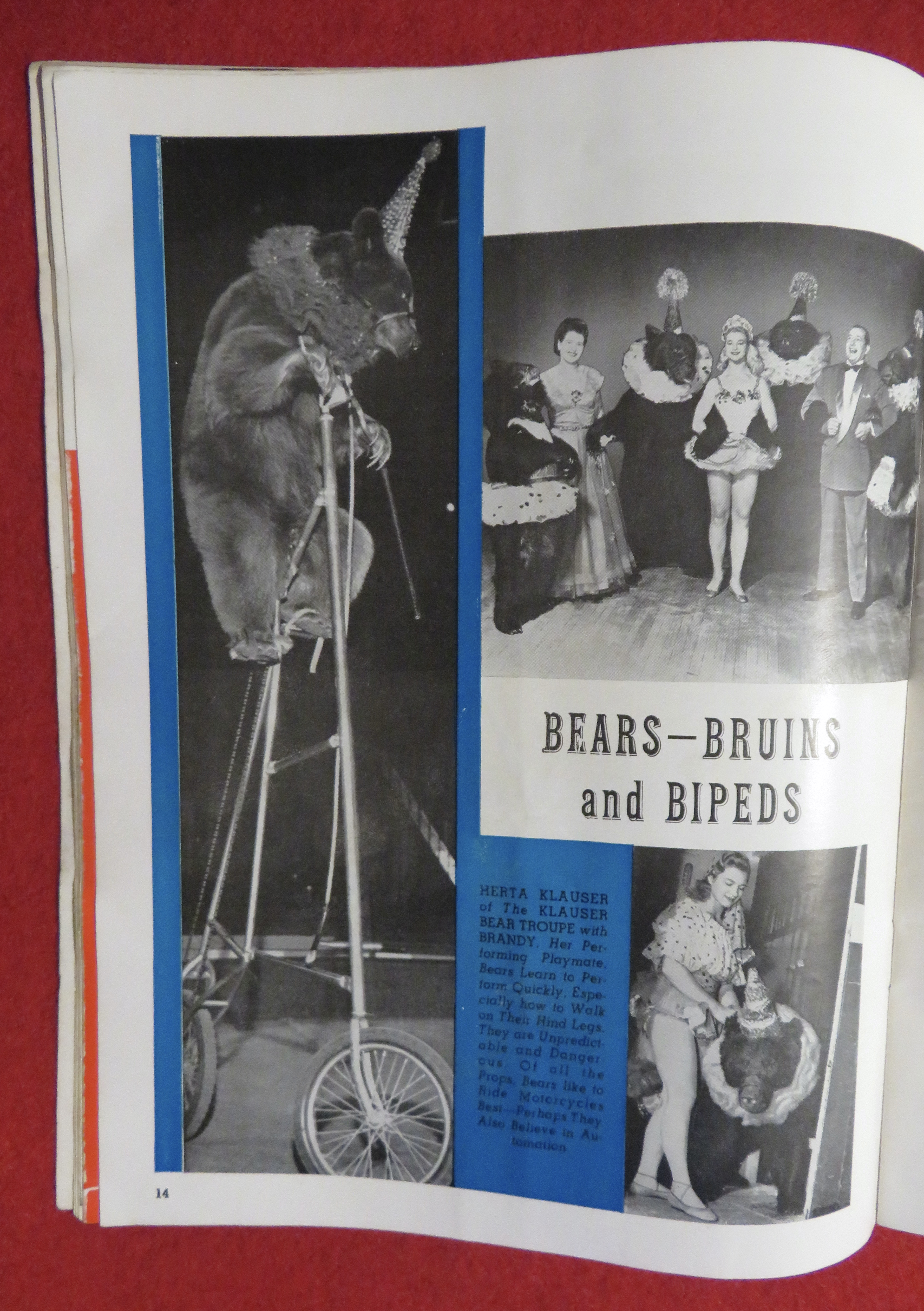 Ringling Bros Barnum & Bailey Circus Program 1962
