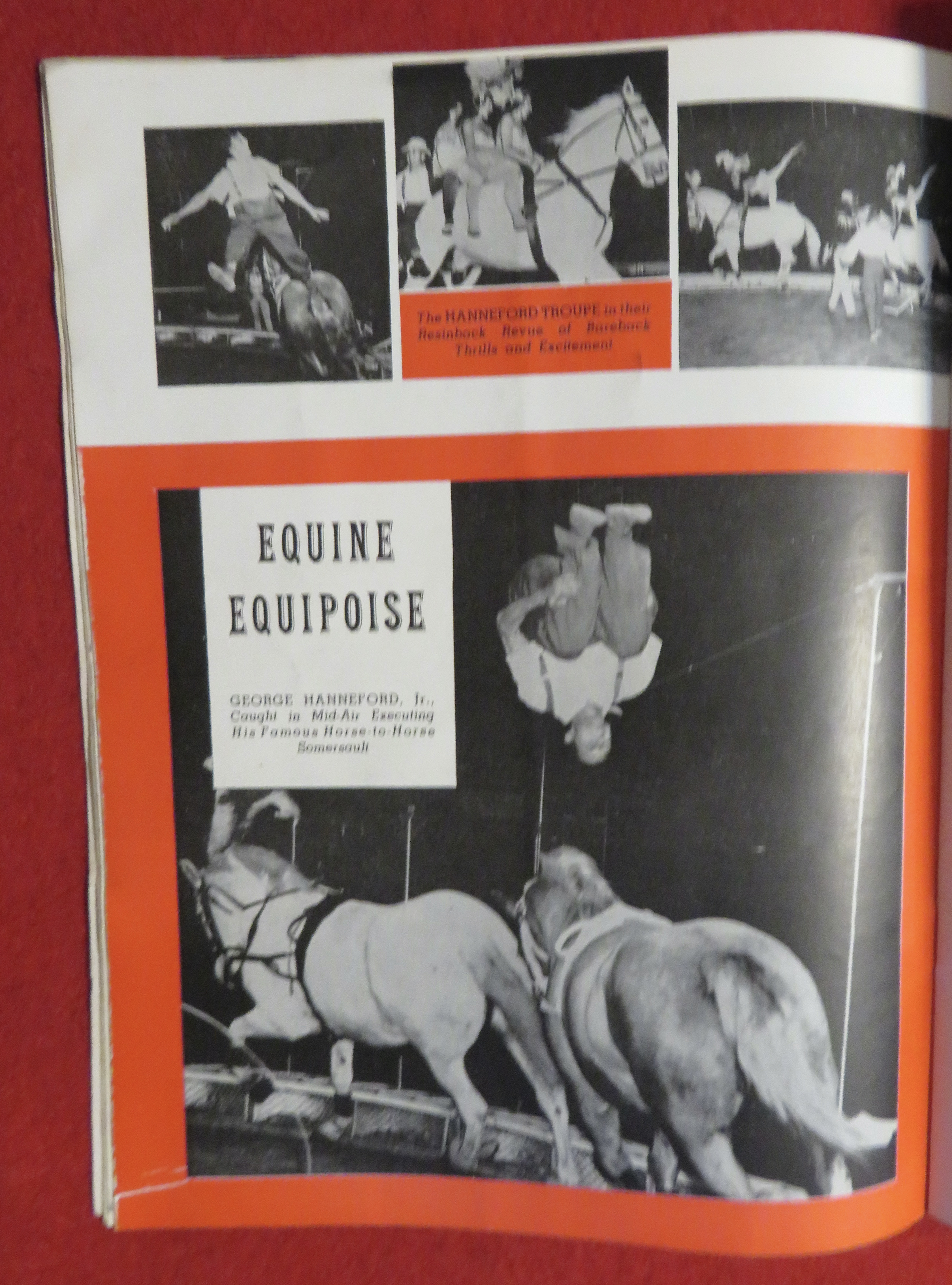 Ringling Bros Barnum & Bailey Circus Program 1962
