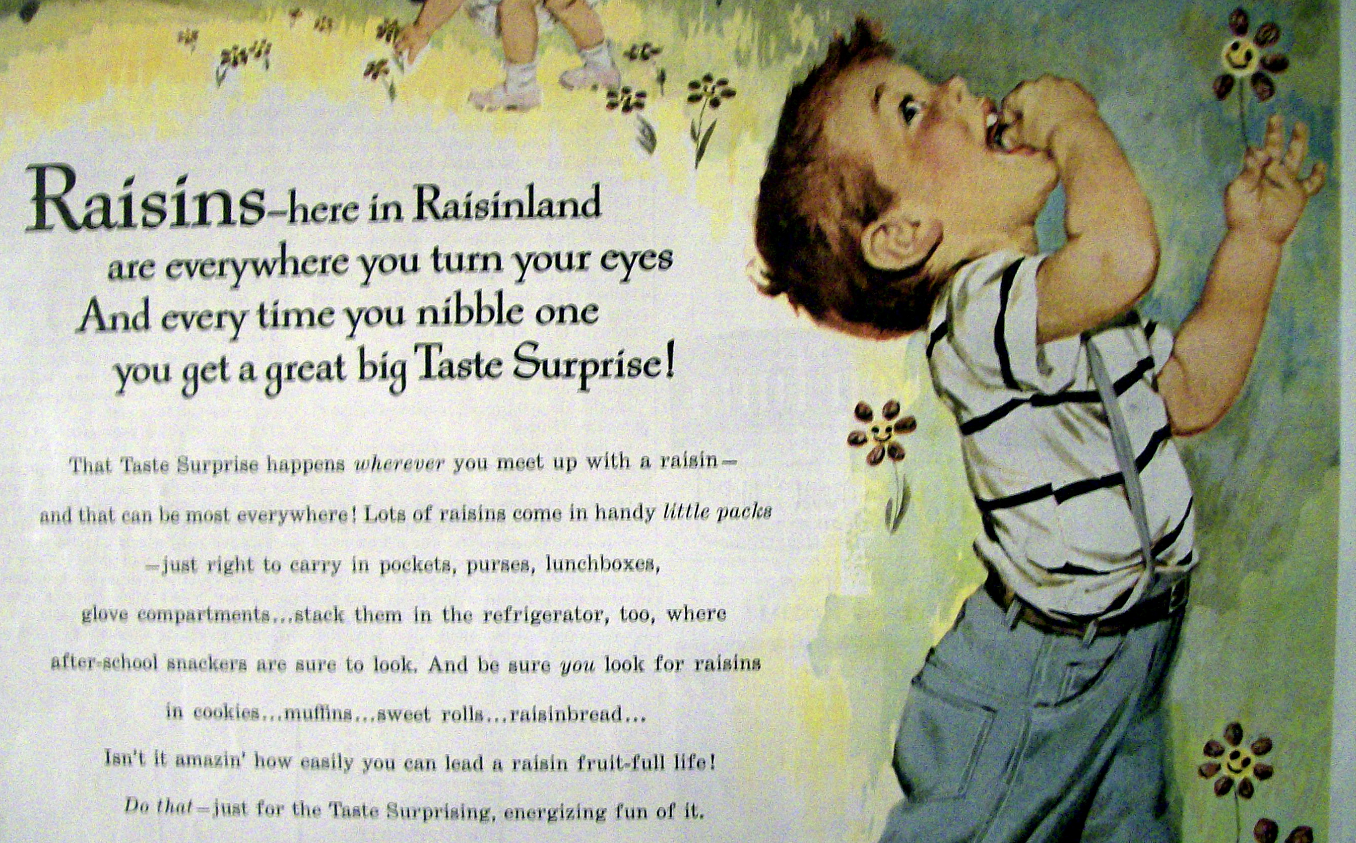 Vintage Ad: 1960 Raisins By Mary Mayo
