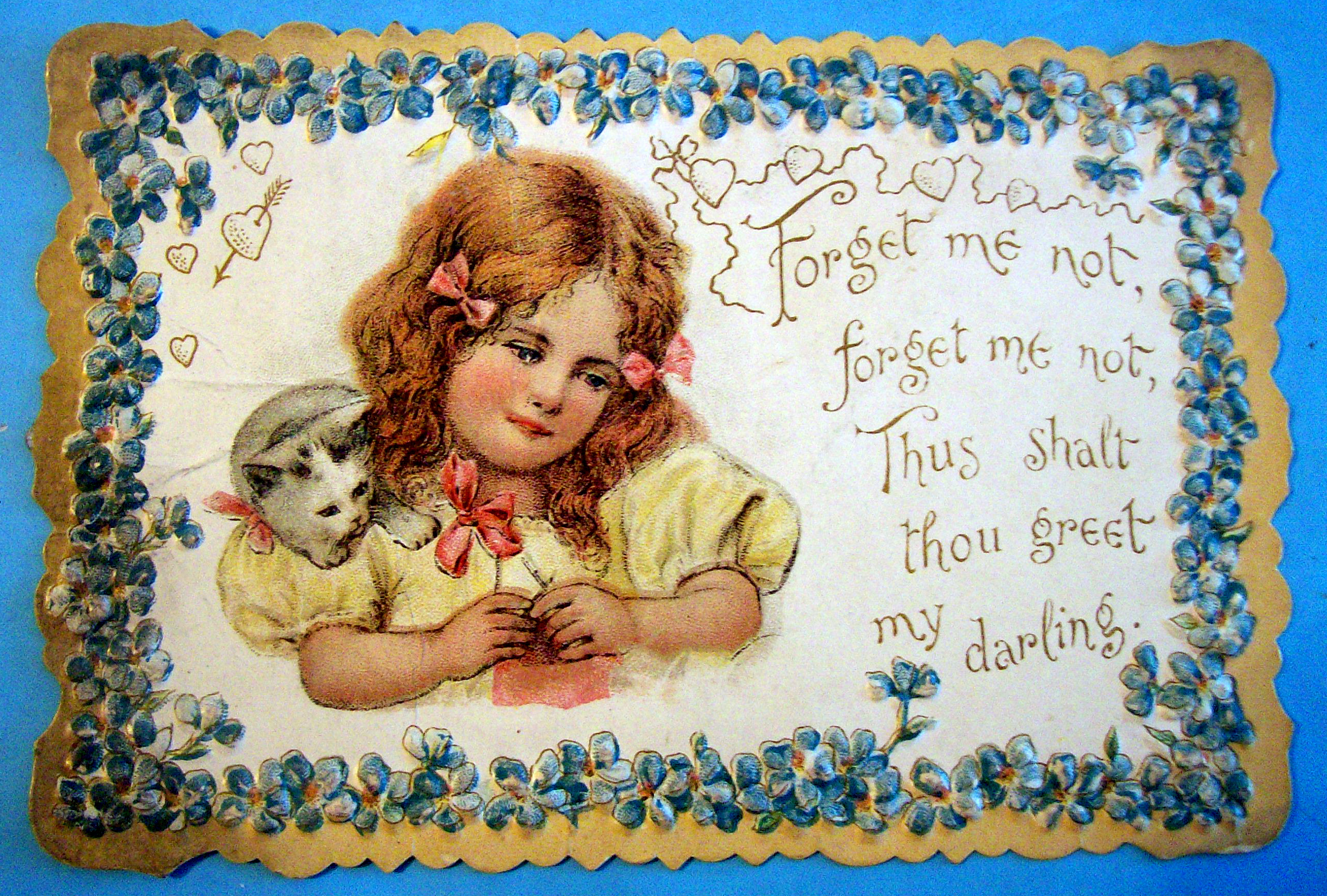 Forget Me Not Postcard