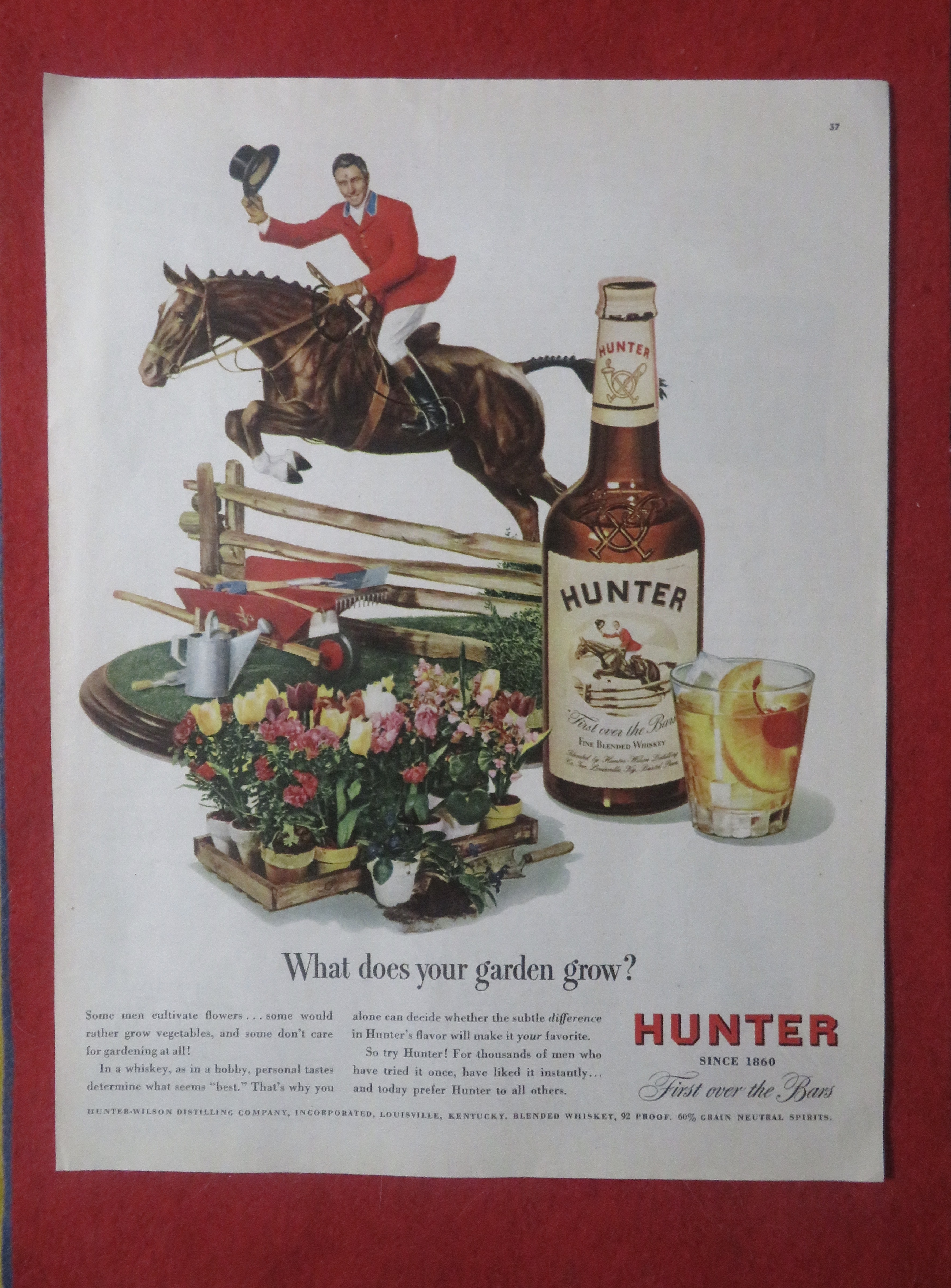 1948 Hunter Whiskey with Man on Horse Jumping Fence