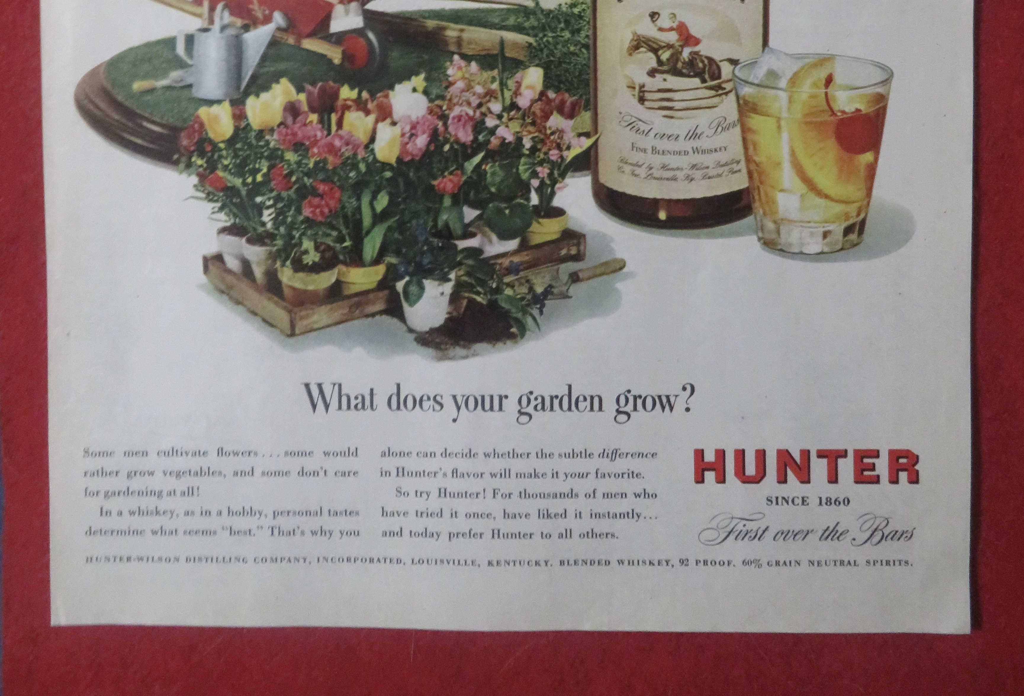 1948 Hunter Whiskey with Man on Horse Jumping Fence