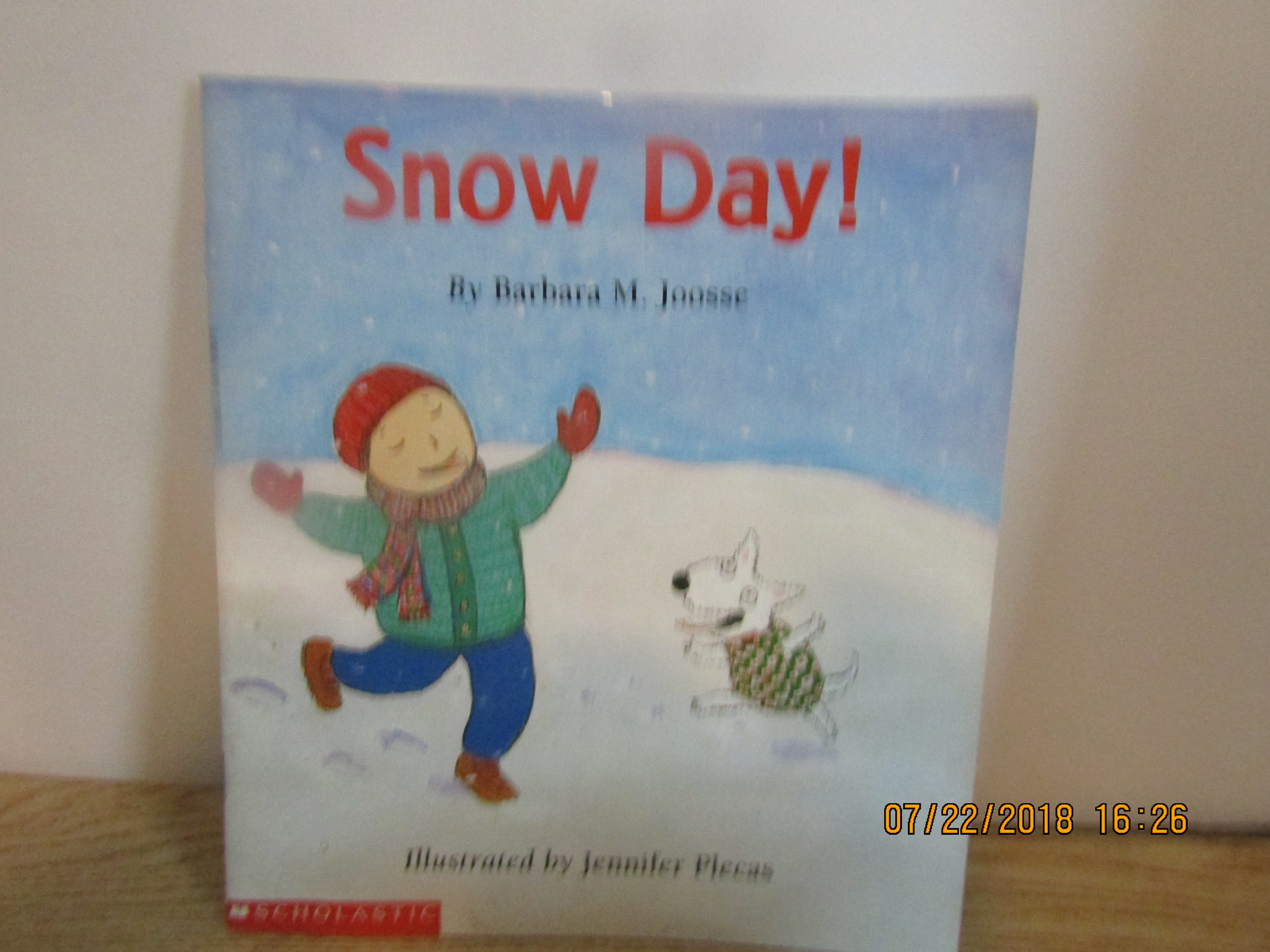 Scholastic Young Readers Book Snow Days