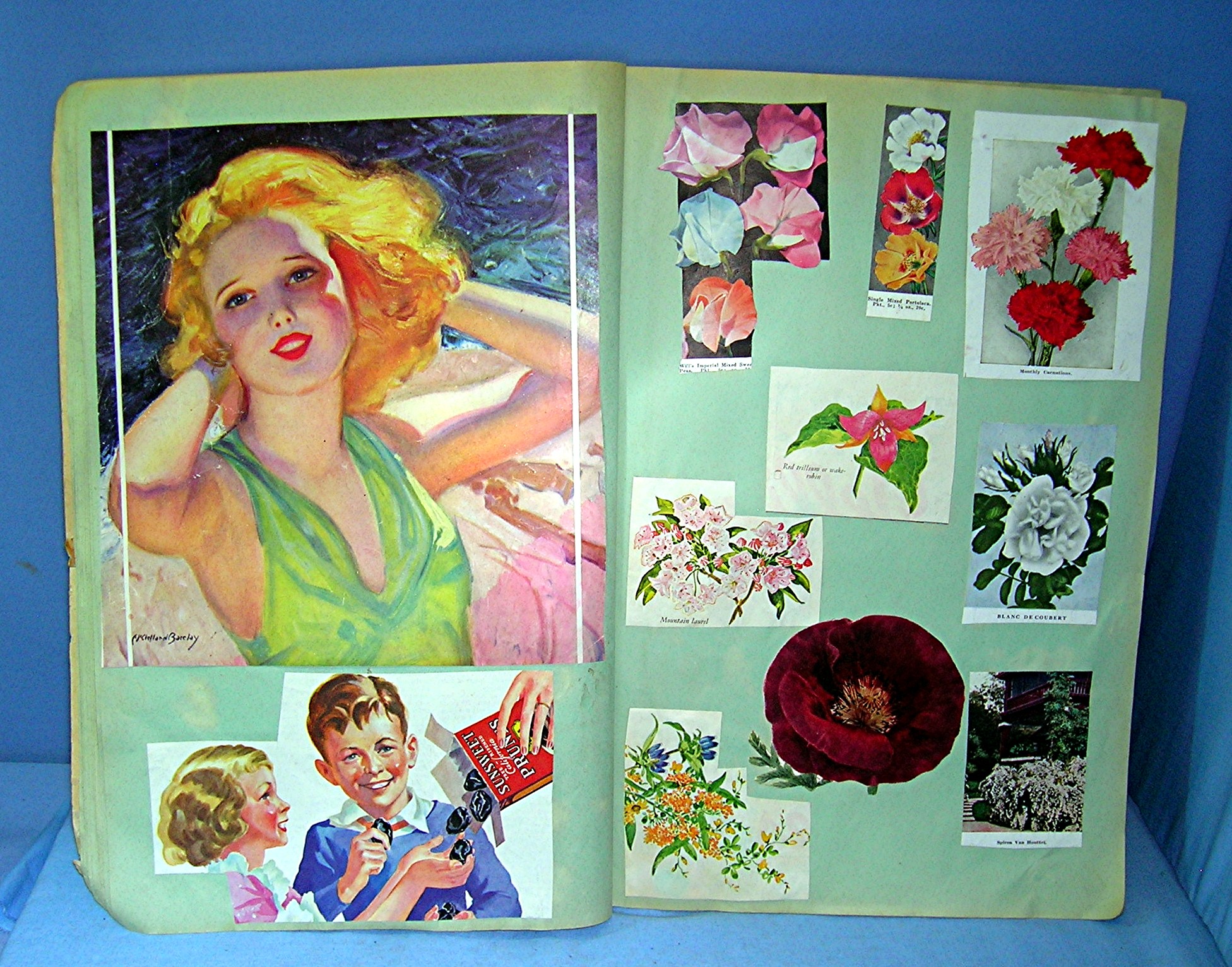 Scrapbook From the 1930s Grace Holmes