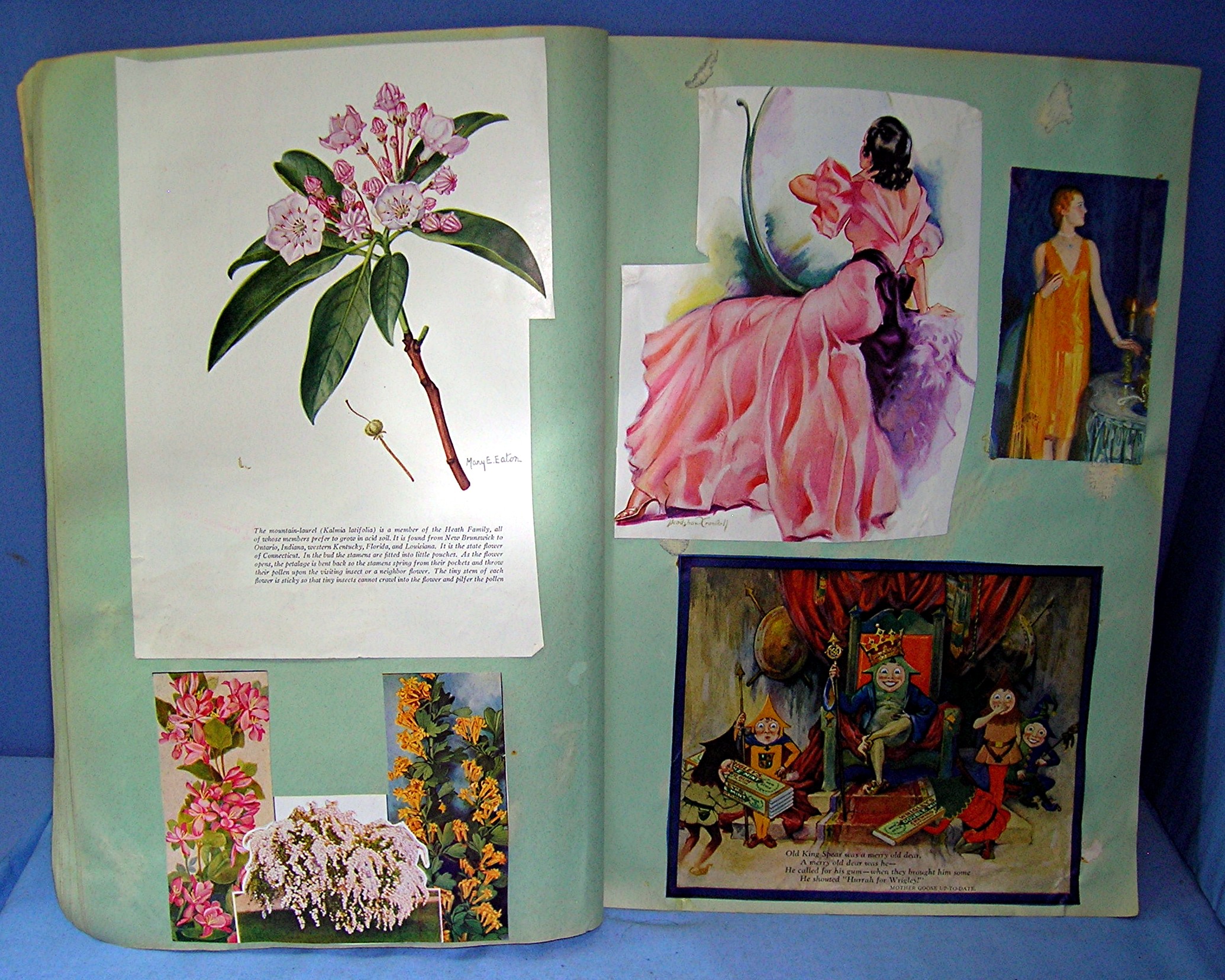 Scrapbook From the 1930s Grace Holmes