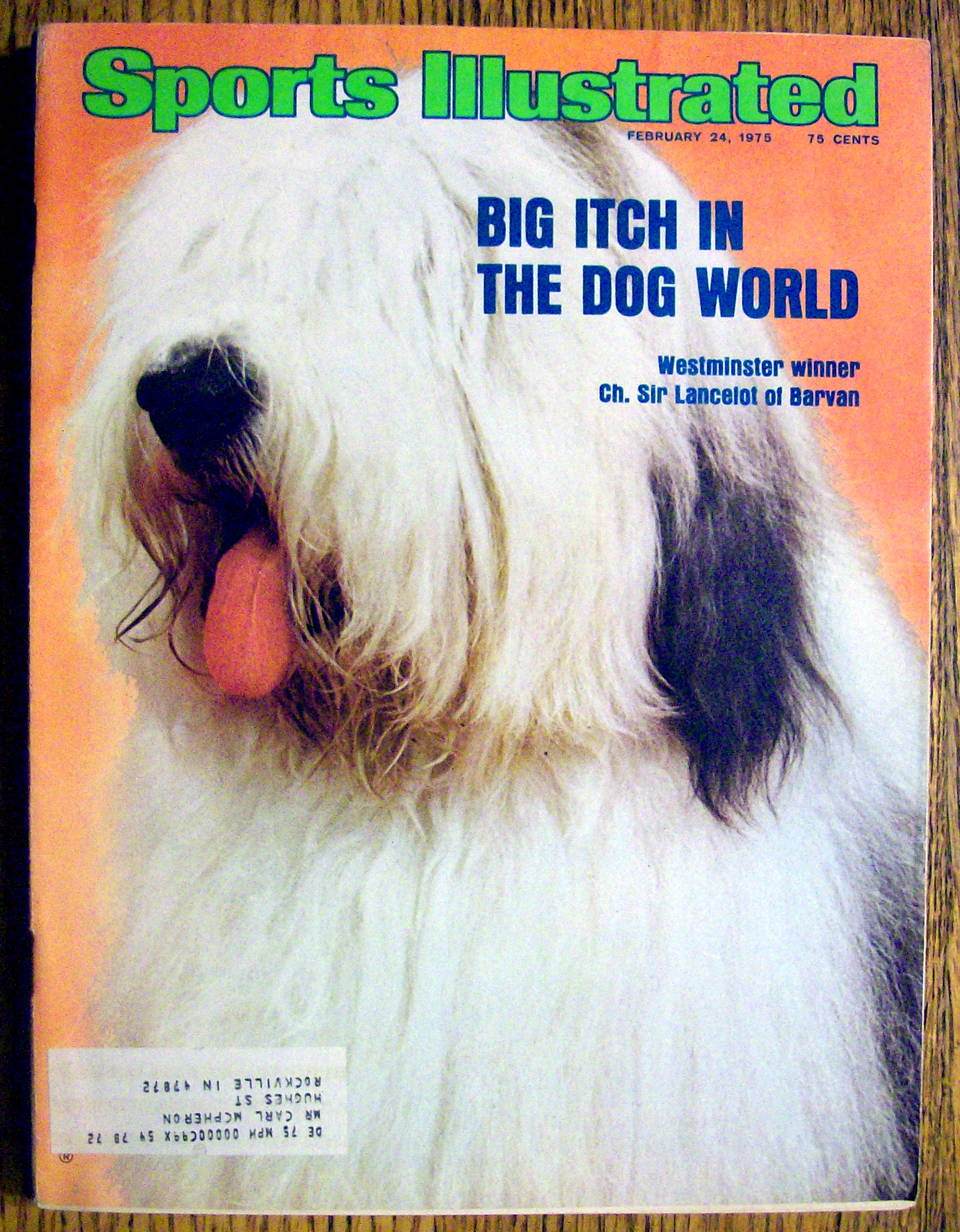Sports Illustrated Magazine-February 24, 1975-Dog World