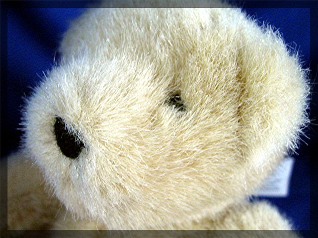 Muffy Vanderbear, 1982  North American Bear CO.  7 inch