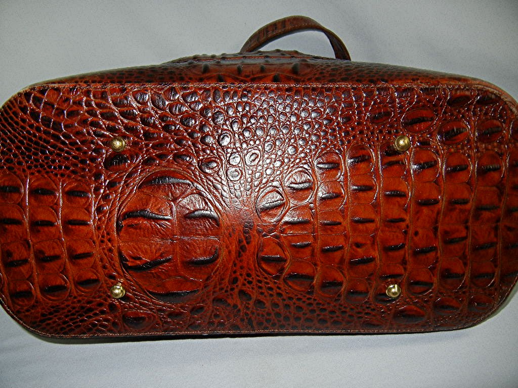 Bag Brahmin Pecan Leather Tote with dust bag