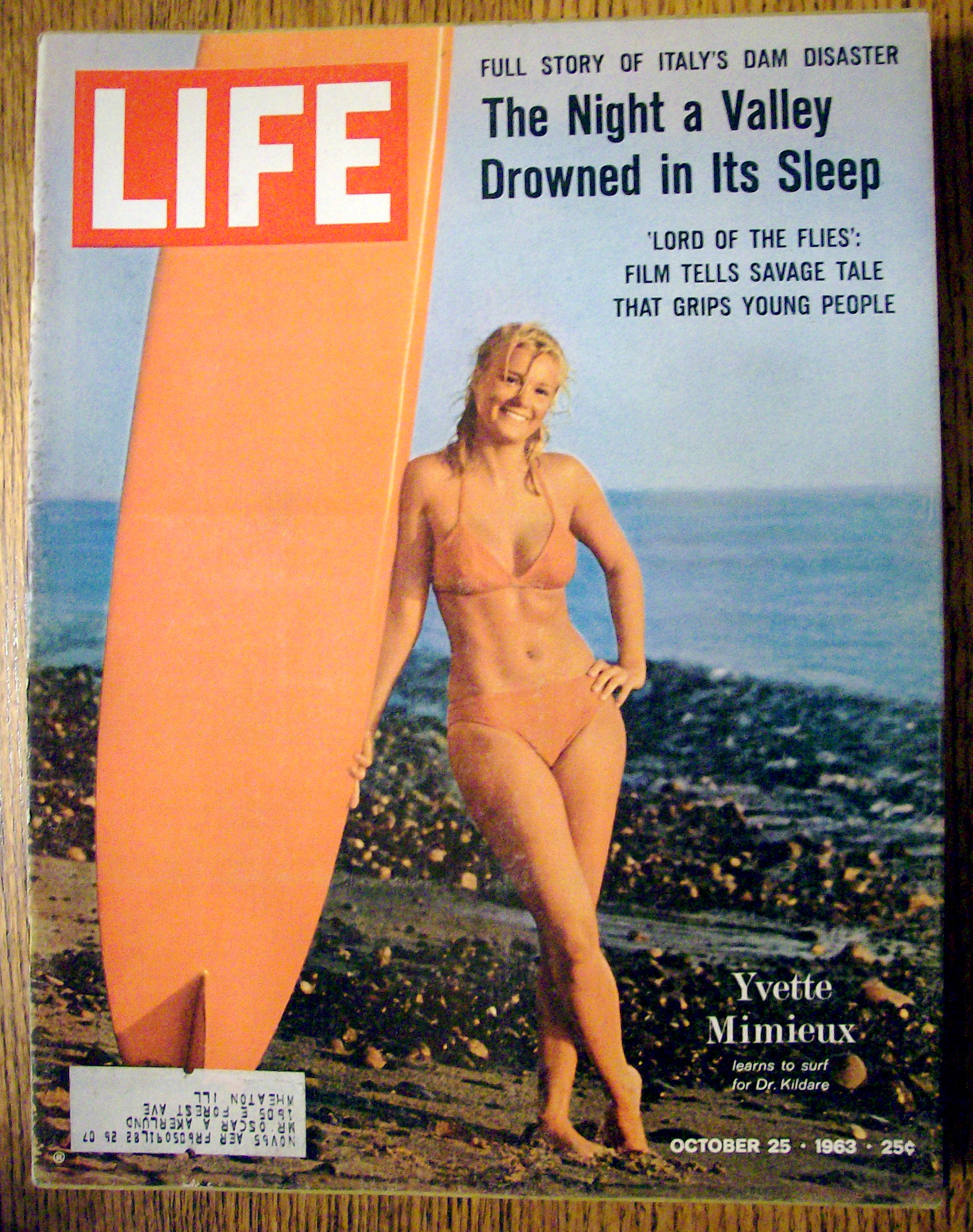 Life Magazine-October 25, 1963-Yvette Mimieux