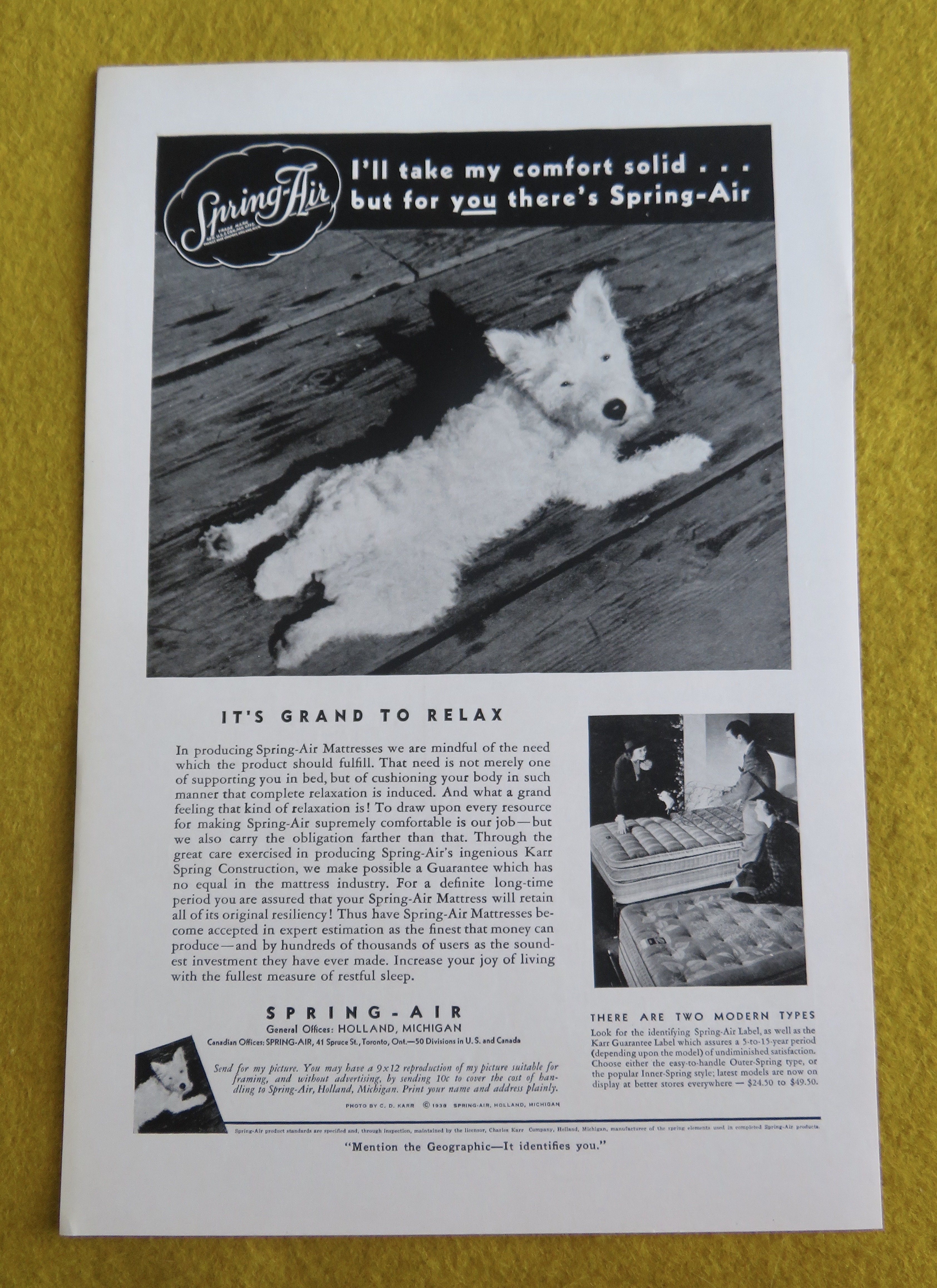 1938 Spring Air Mattress with Dog Laying On The Floor