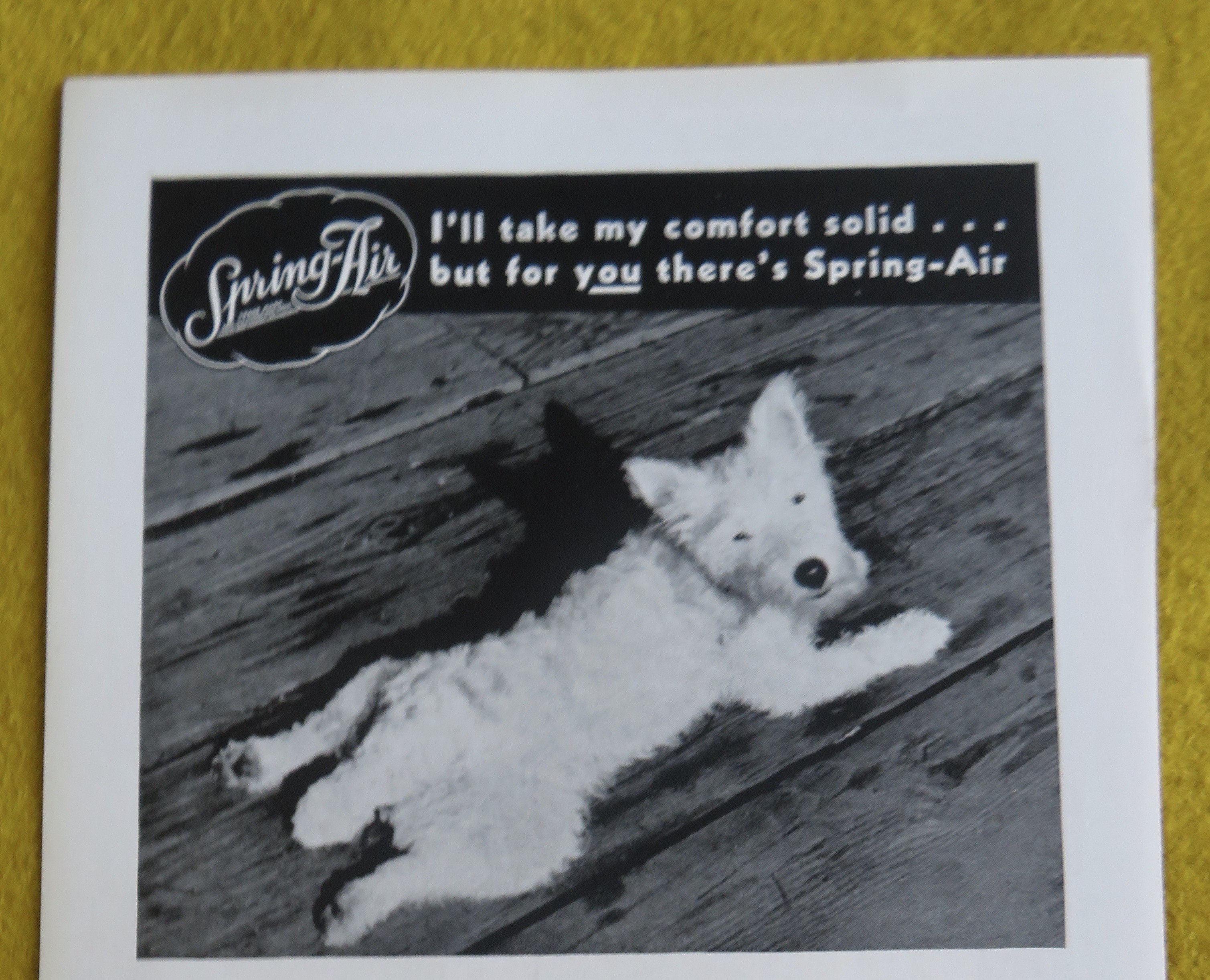 1938 Spring Air Mattress with Dog Laying On The Floor