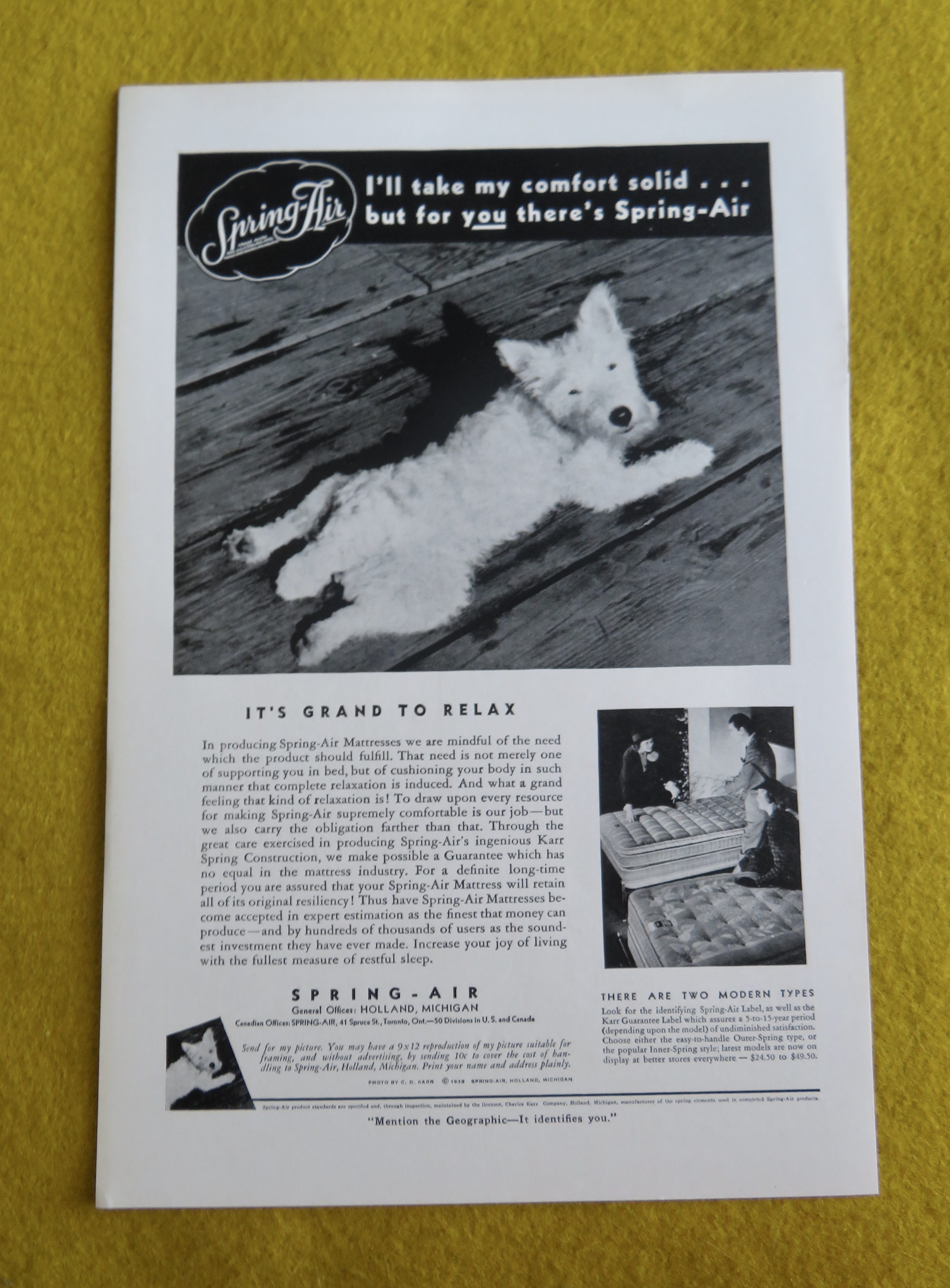 1938 Spring Air Mattress with Dog Laying On The Floor