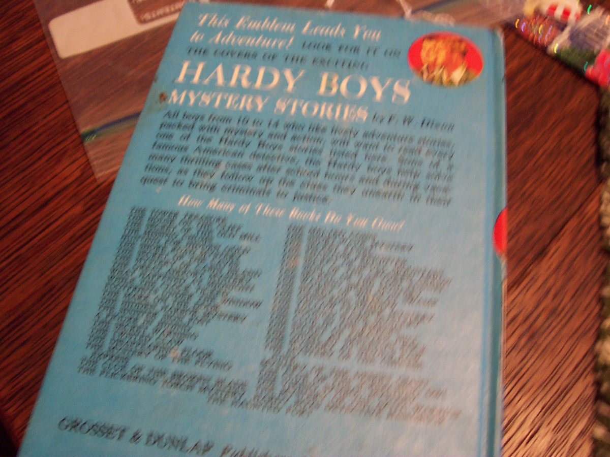 The Hard Boys The Viking Symbol Mystery 1963