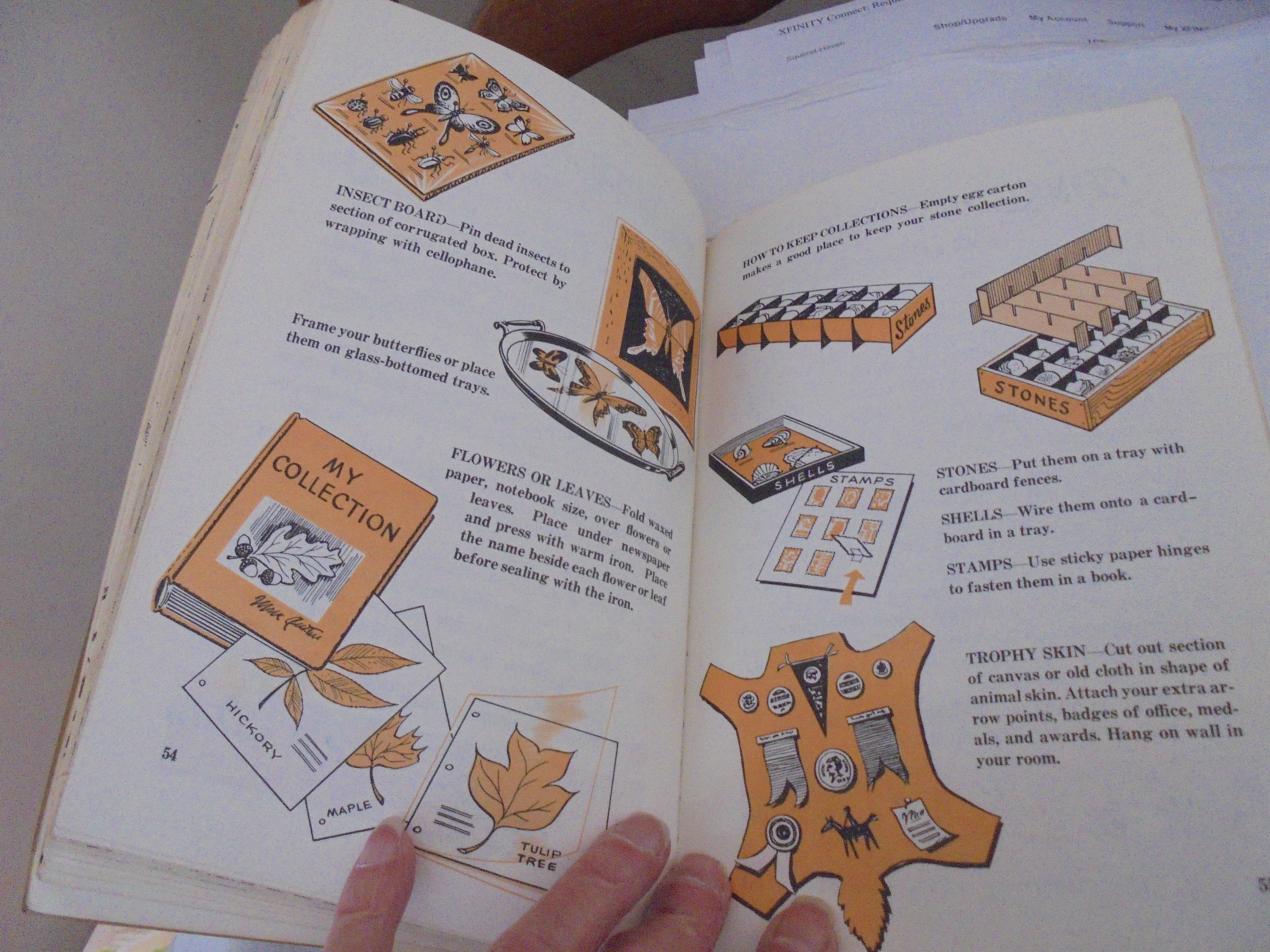 Wolf Cub Scout Book, 1967