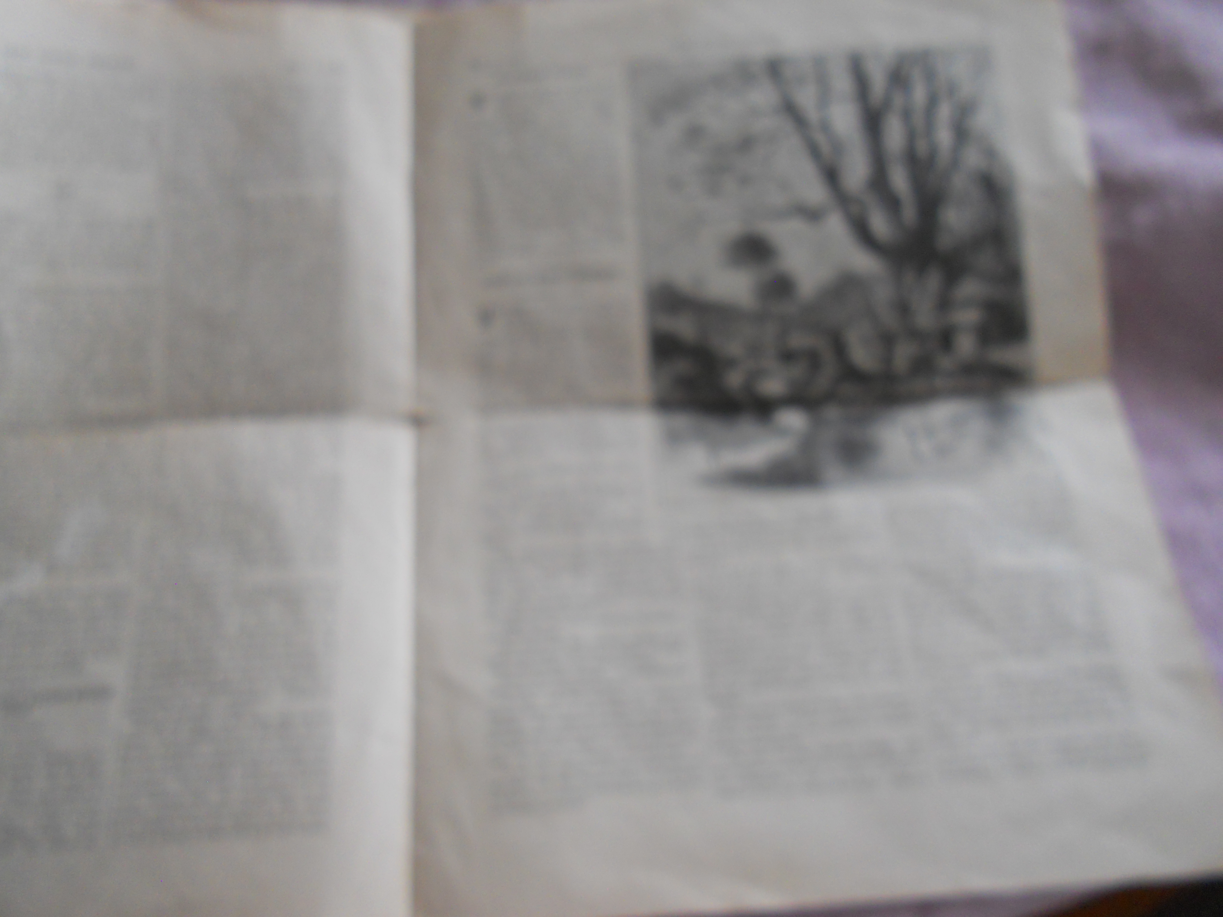 Our Young People Paper, 1892
