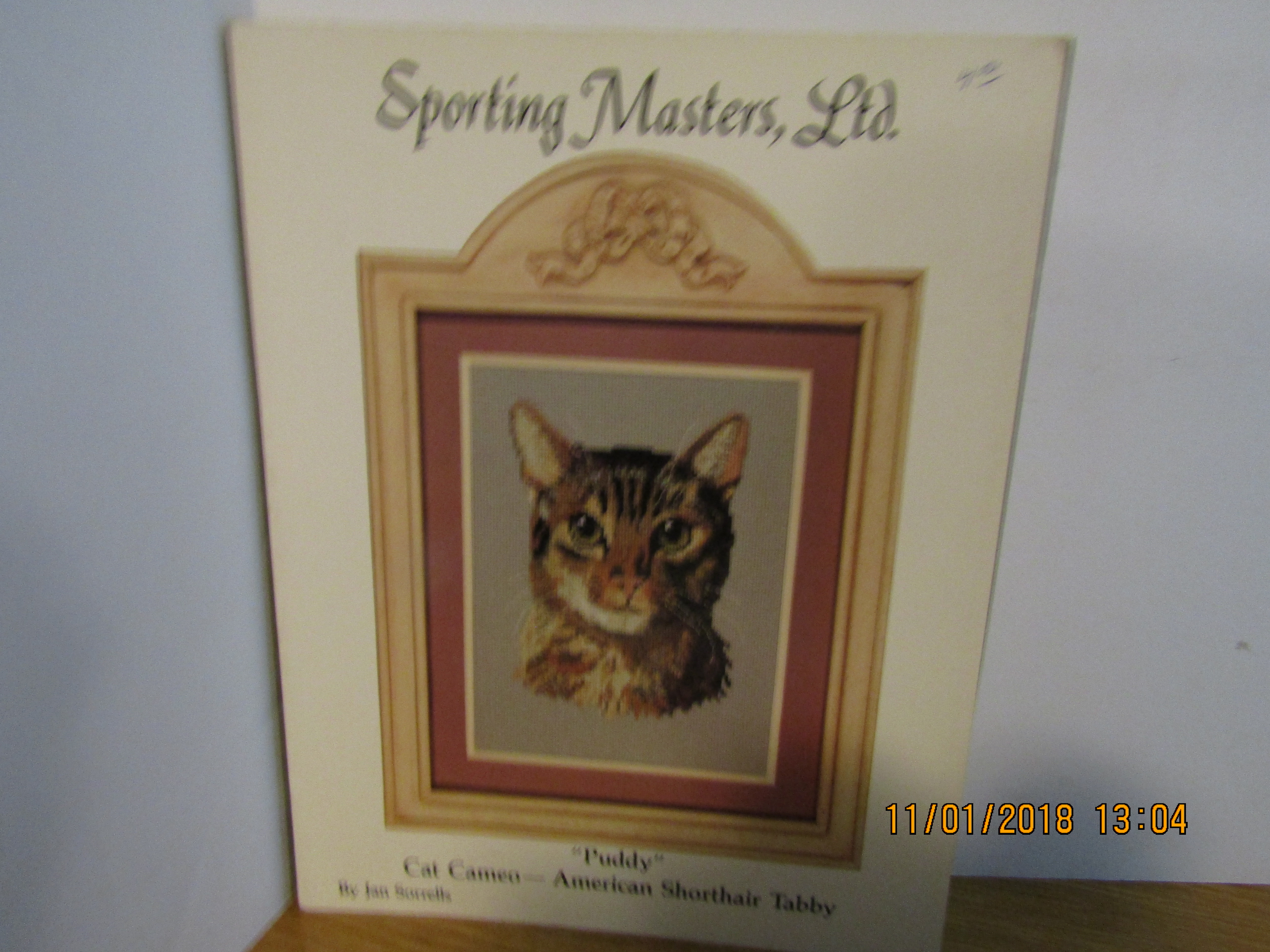 Sporting Master Paddy Cat American Shorthair Tabby #1