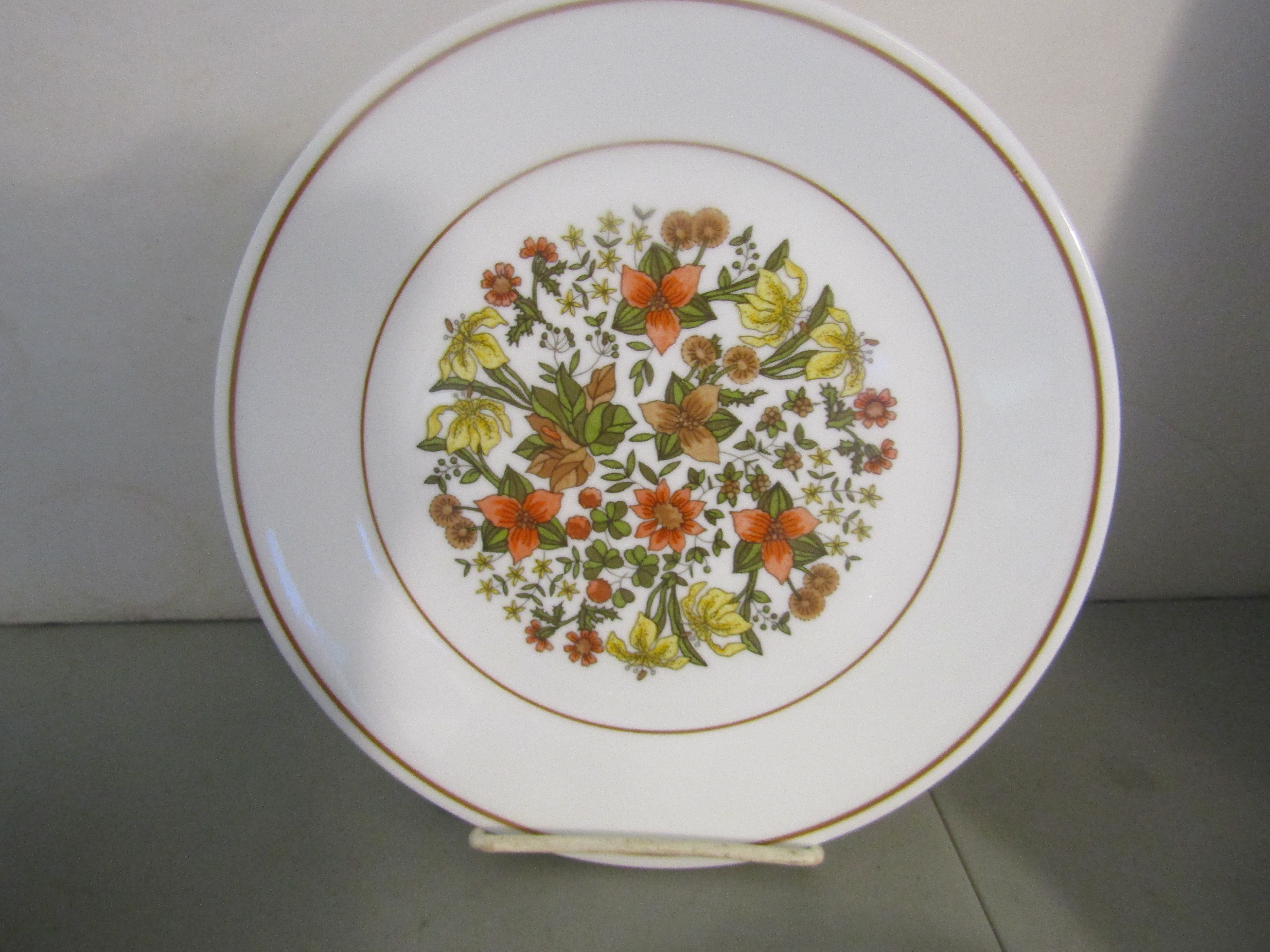 Vintage Indian Summer Corelle Luncheon Plate Set