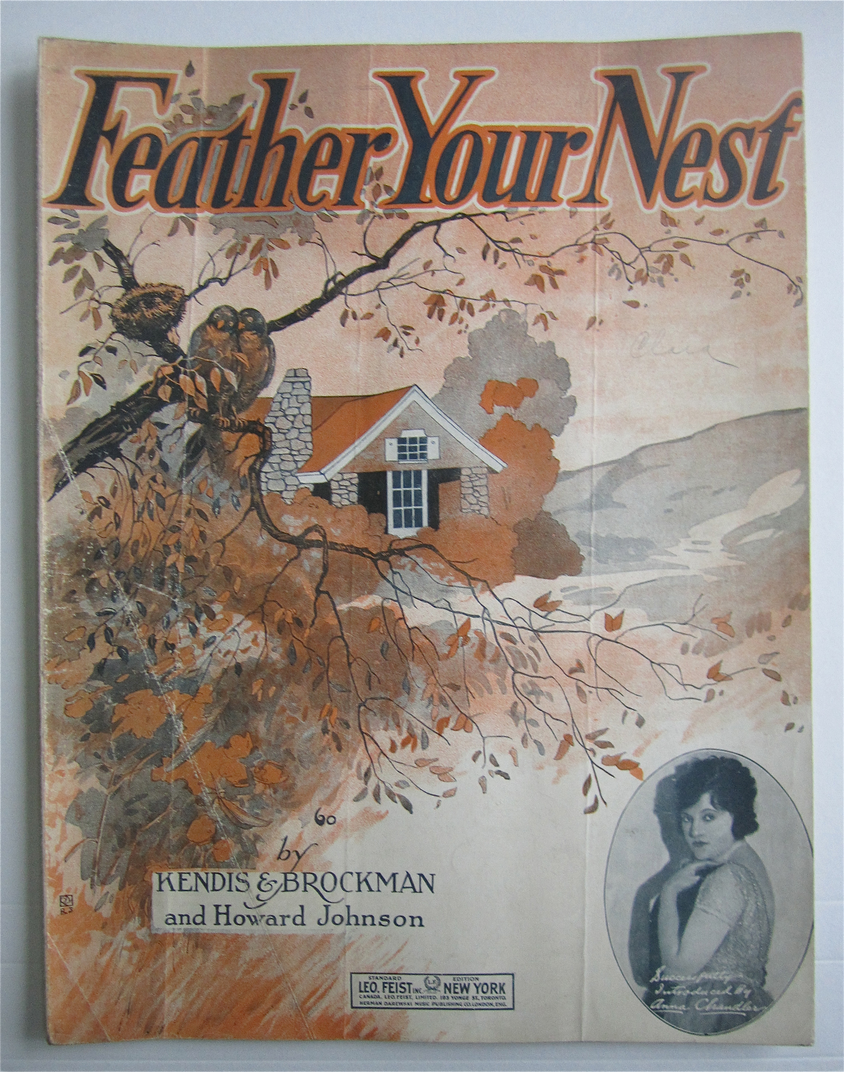 Sheet Music 1920 Feather Your Nest