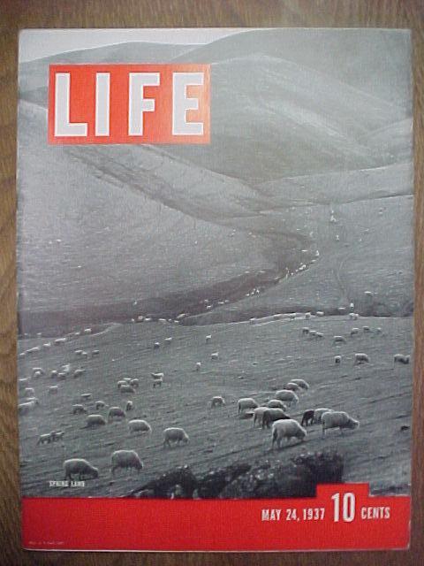 Life Magazine-May 24, 1937-Spring Lamb