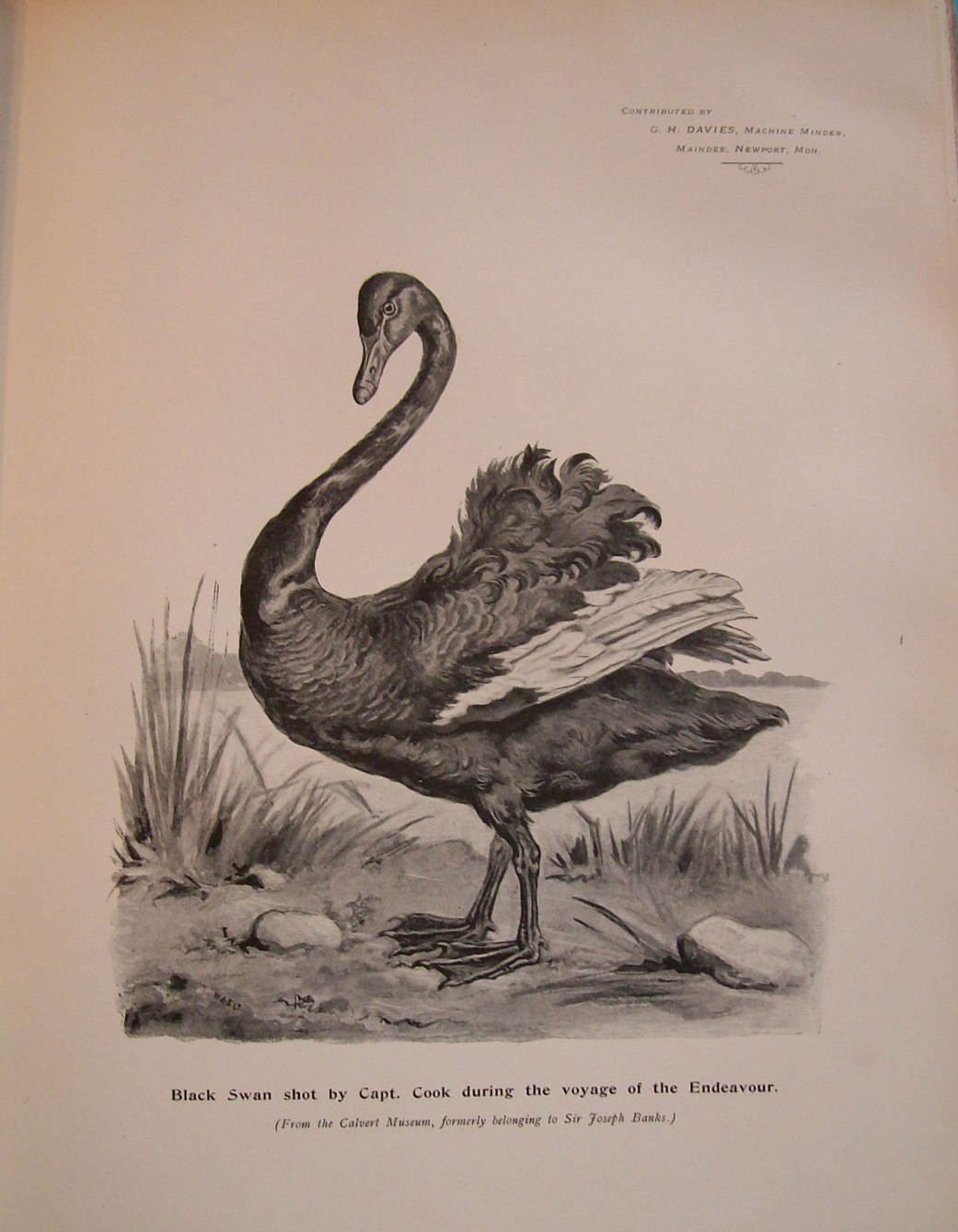 1893 The Printers' International Specimen Exchange XIV