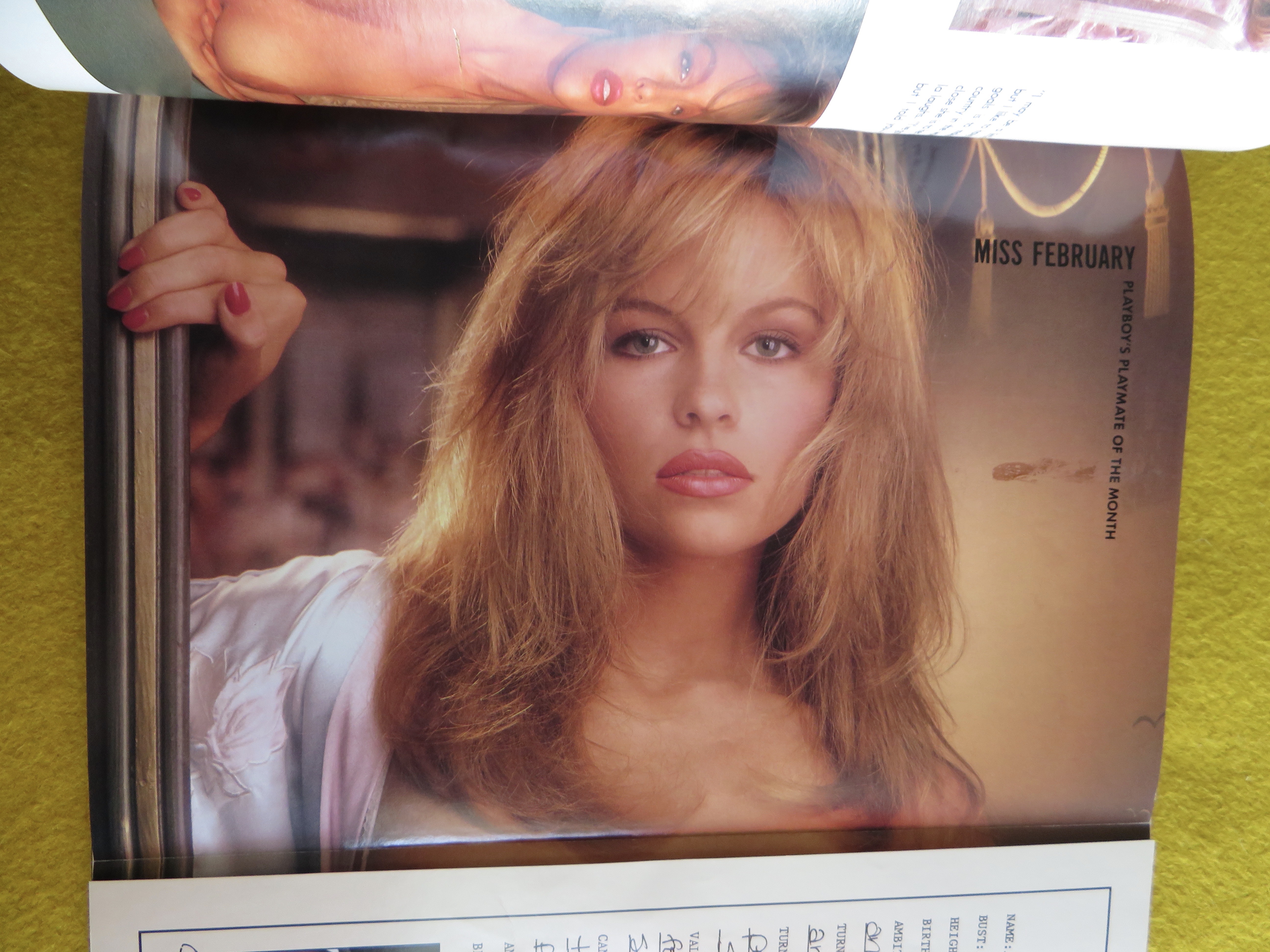 Playboy Magazine-February 1990-Pamela Anderson