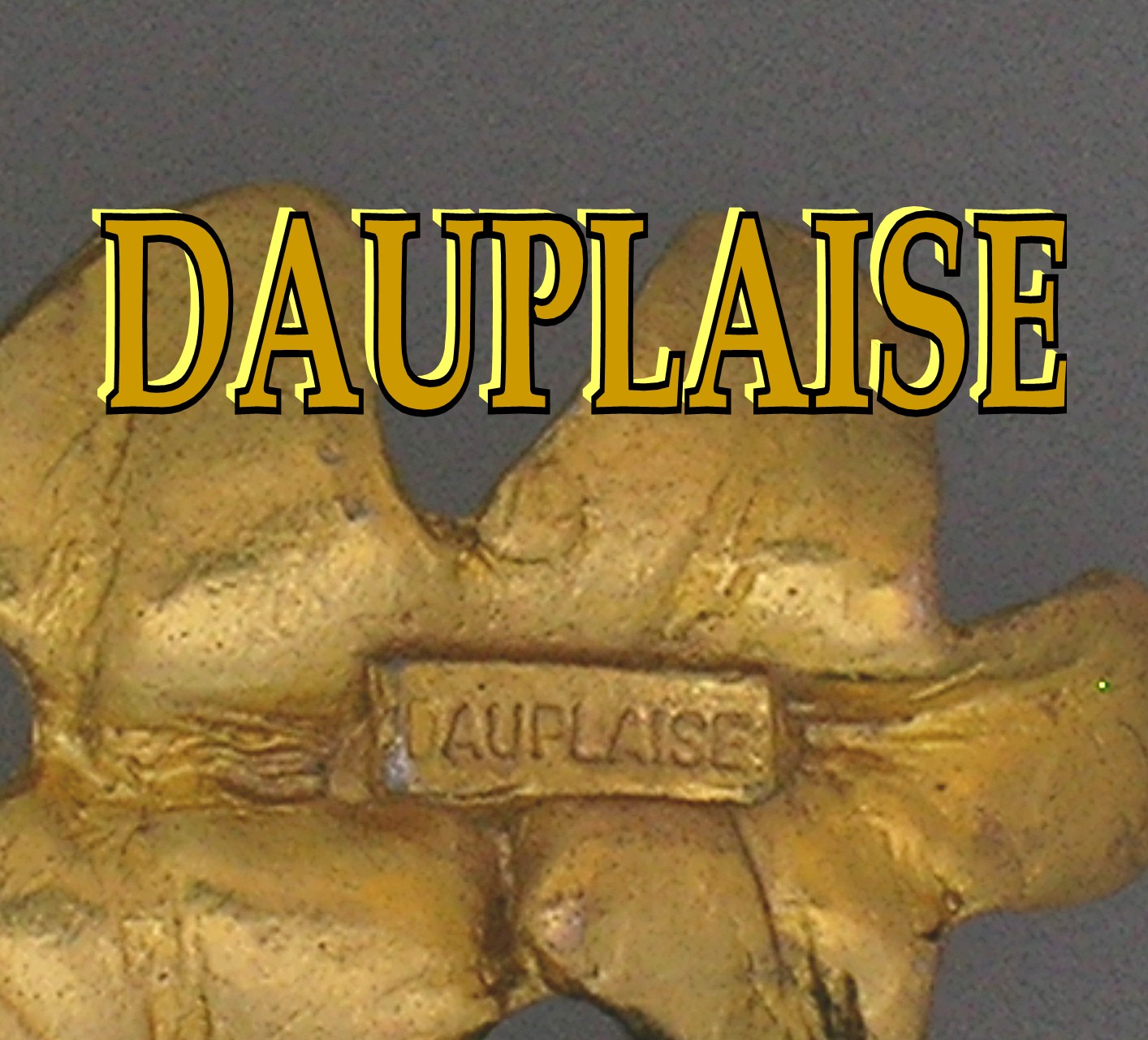 DAUPLAISE Gold Necklace with Leaves and Lucite Acorns