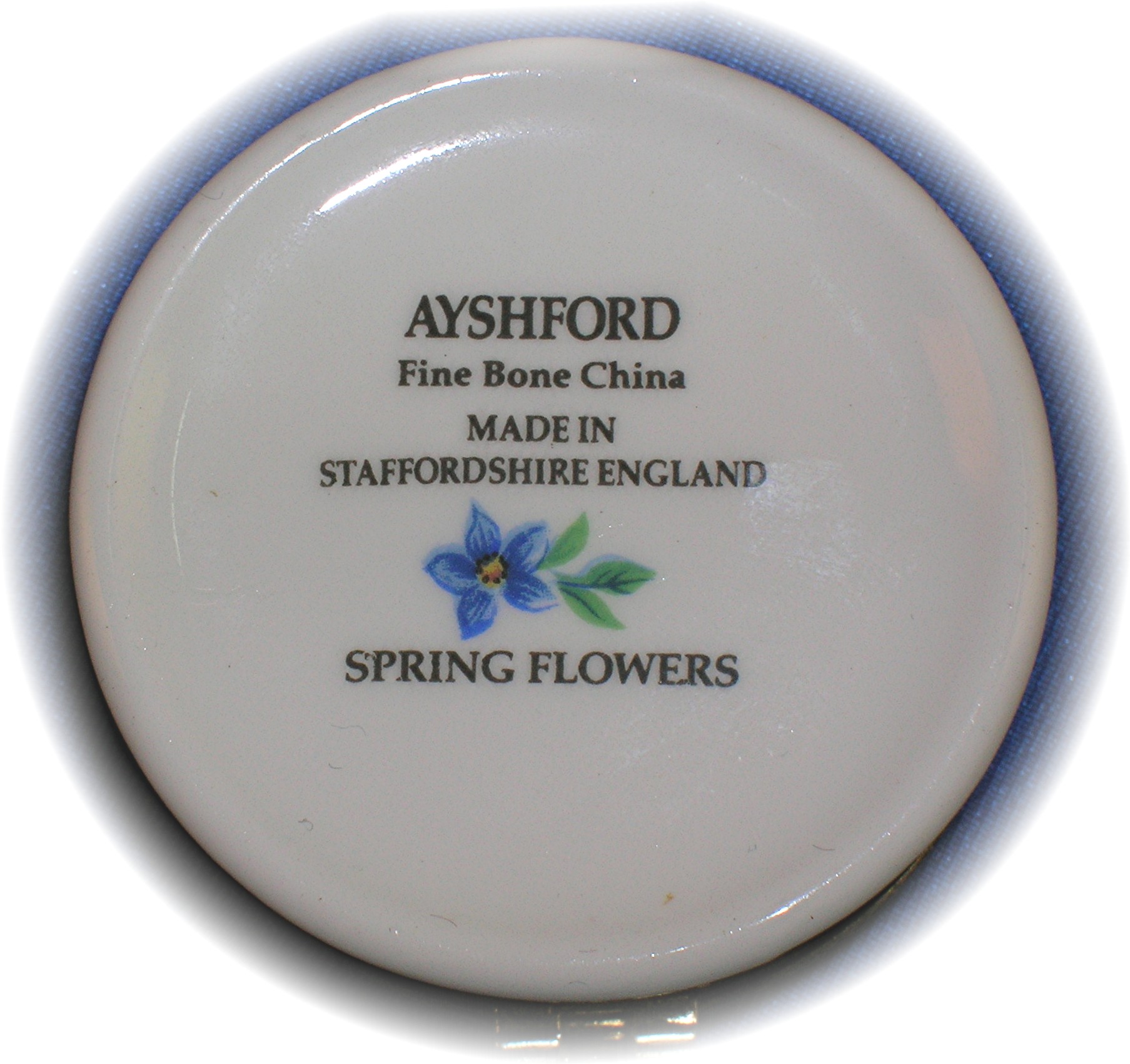 Stafforshire Bone China Small Spring Flowers Box
