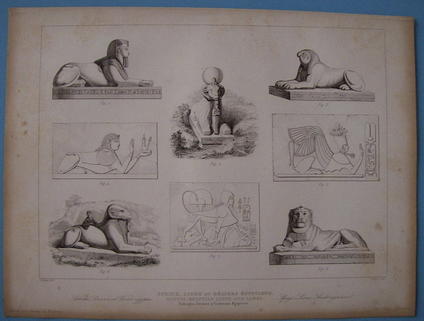 Sphinx, Lions Et Beliers Egyptiens