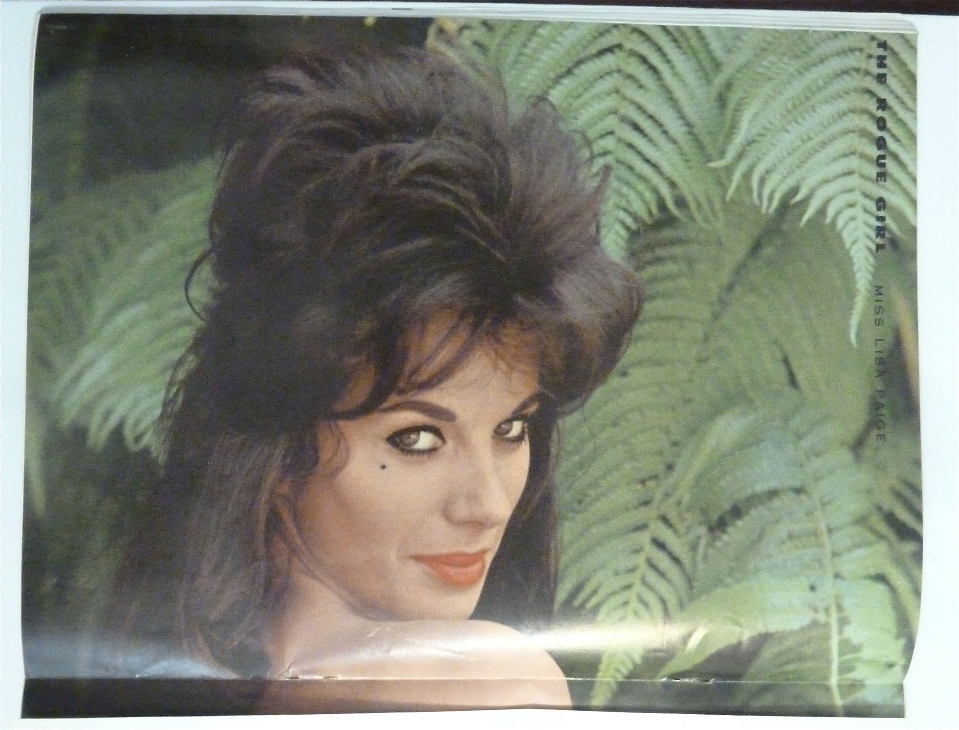 Rogue Magazine-April 1962-Lisa Paige