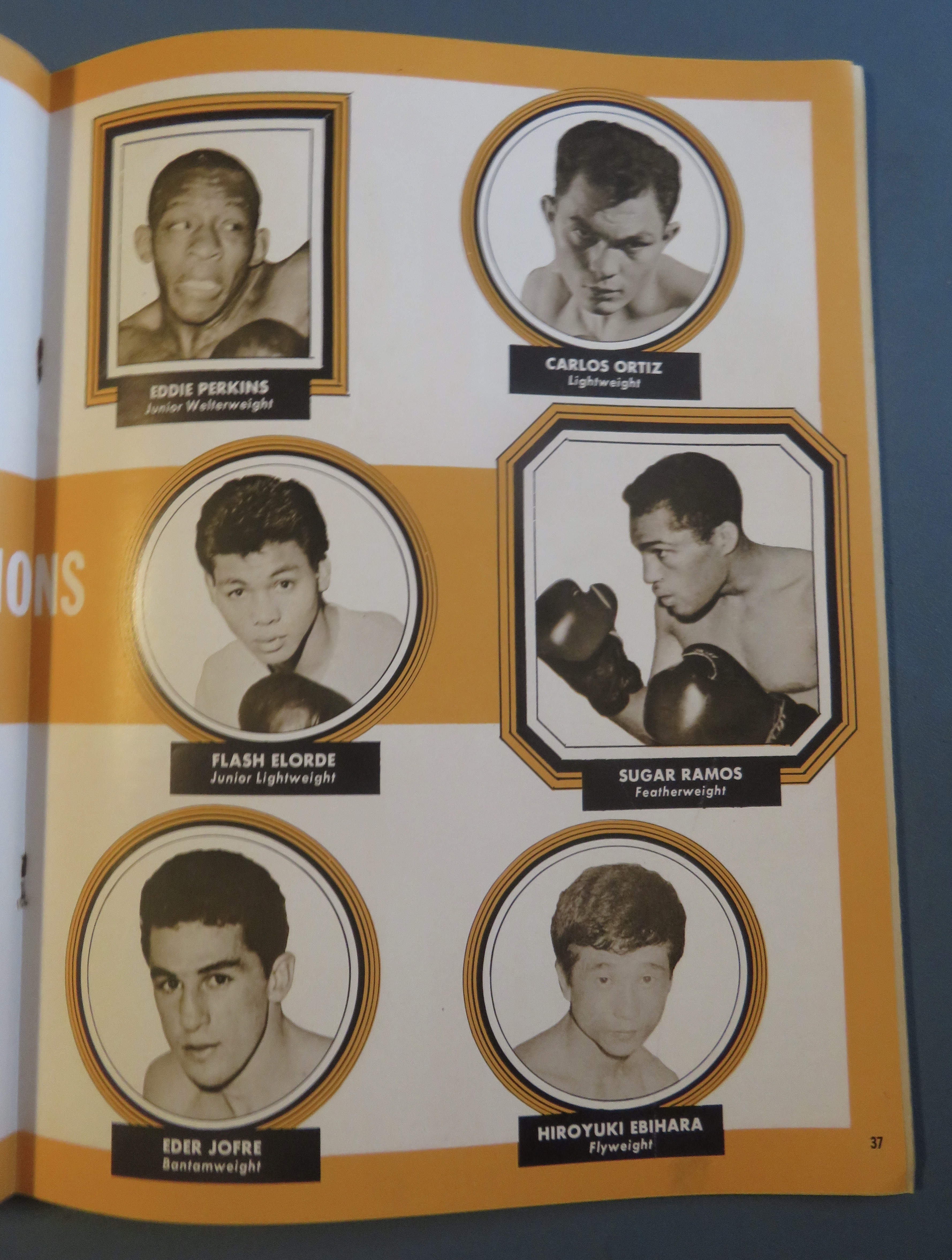Boxing Illustrated Wrestling News Magazine Feb 1964