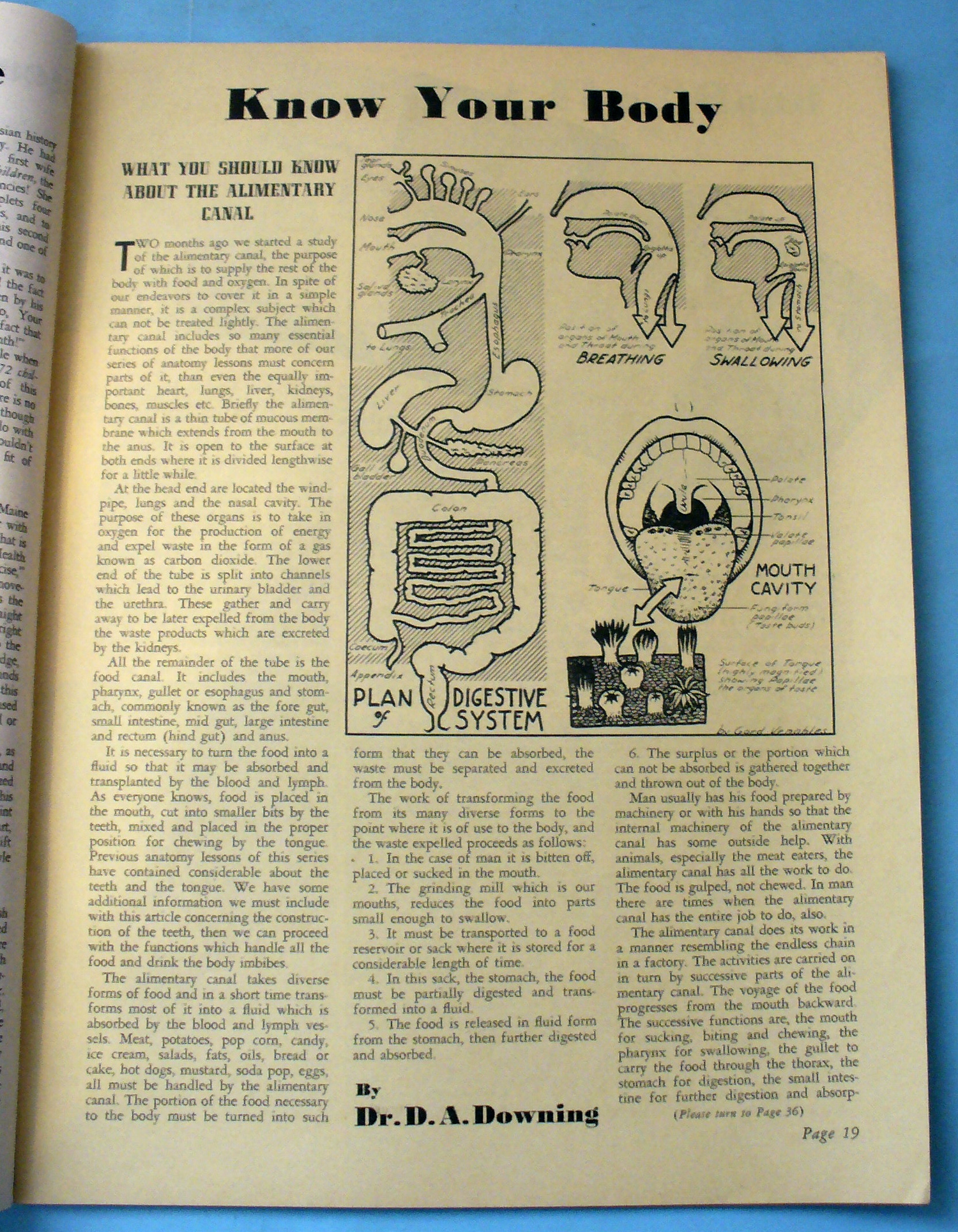 Strength & Health Magazine May 1938 Emil Bonnett