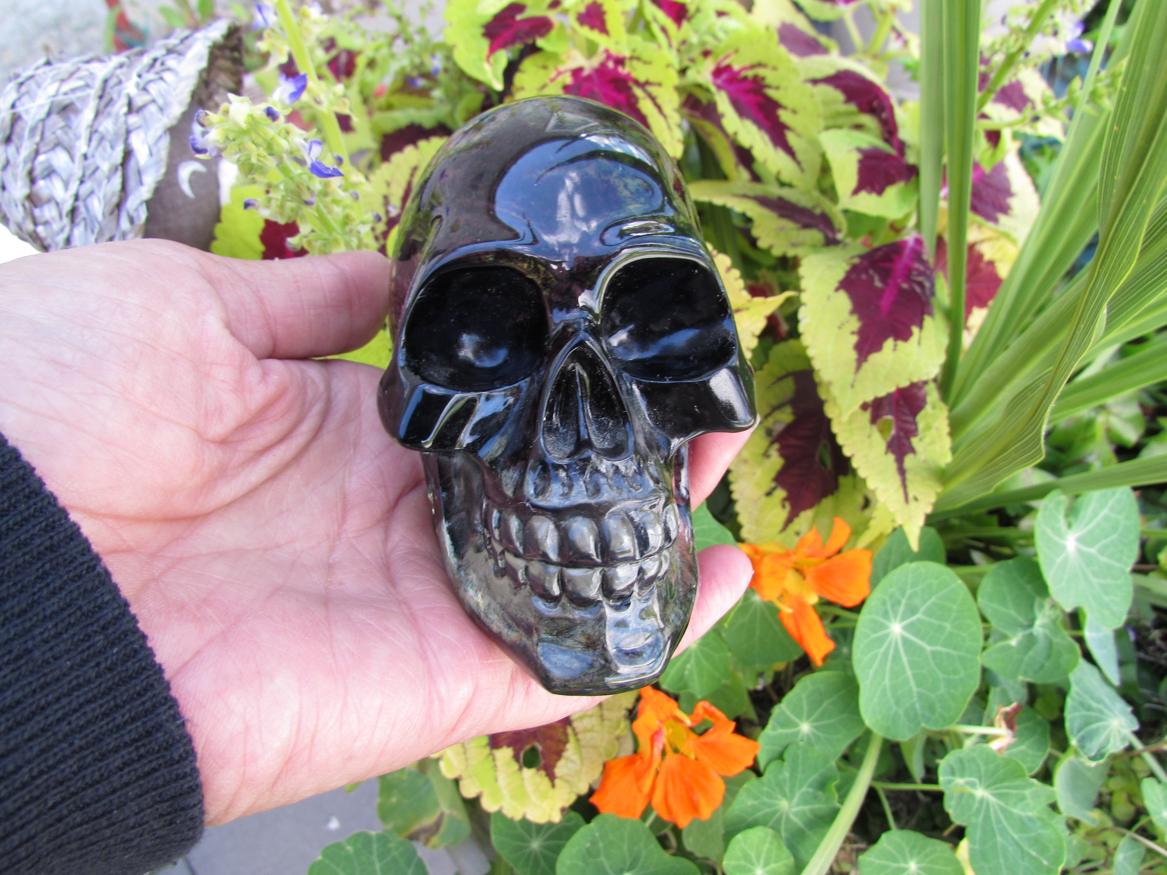 Nemesis Now Skull Summit 2004 signed lucite