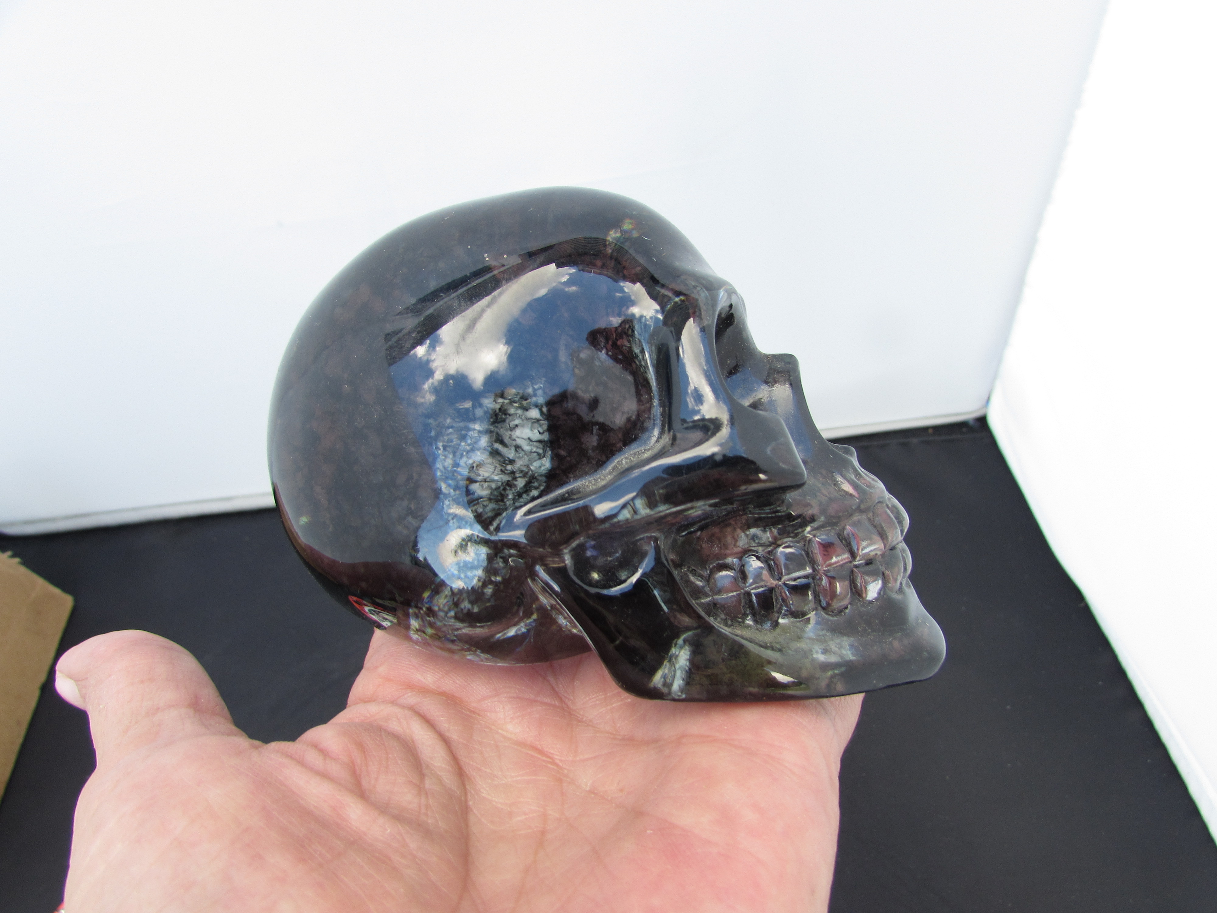 Nemesis Now Skull Summit 2004 signed lucite