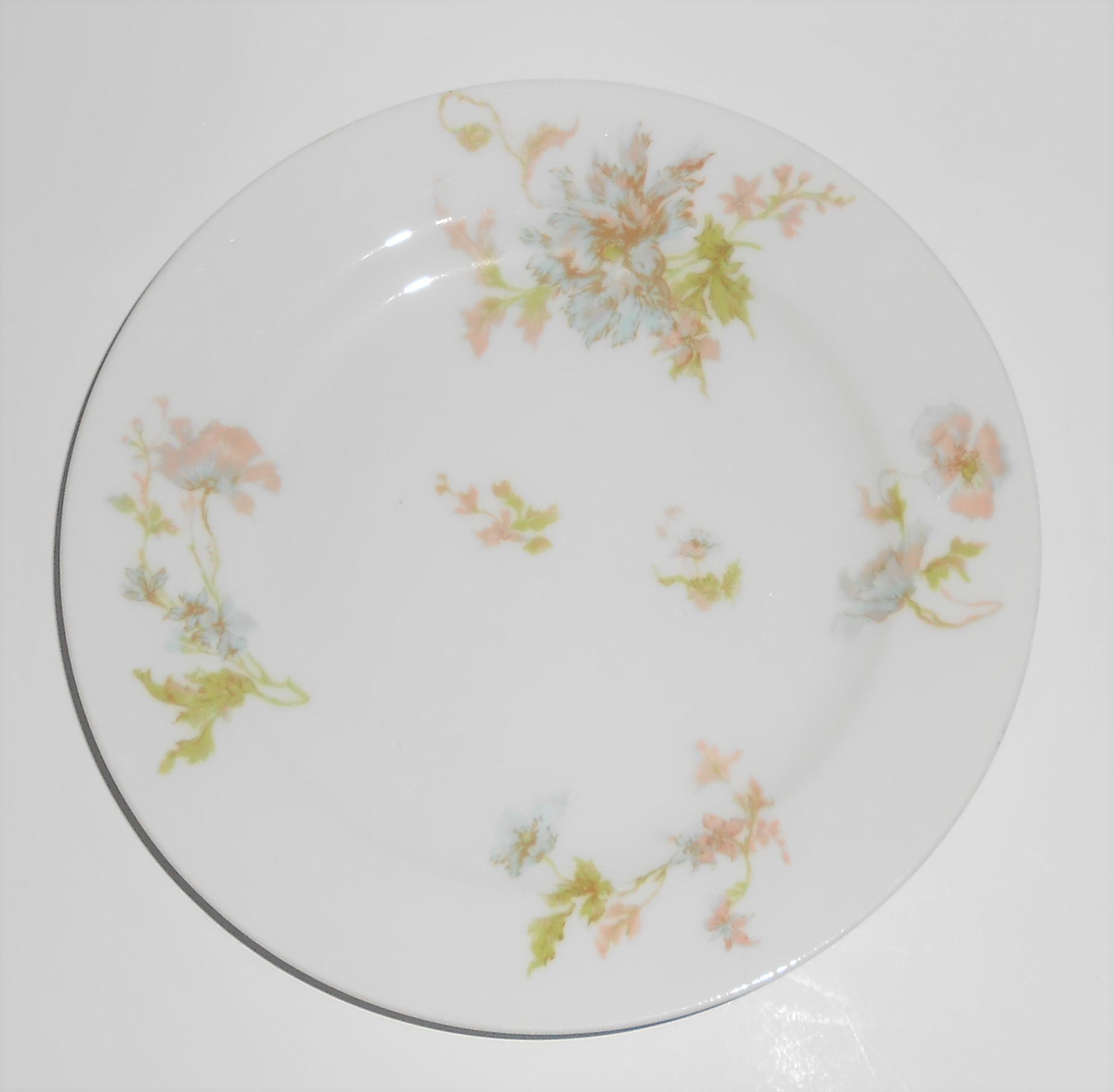 Haviland Limoges China Schleiger 46-1 Pink Blue Floral