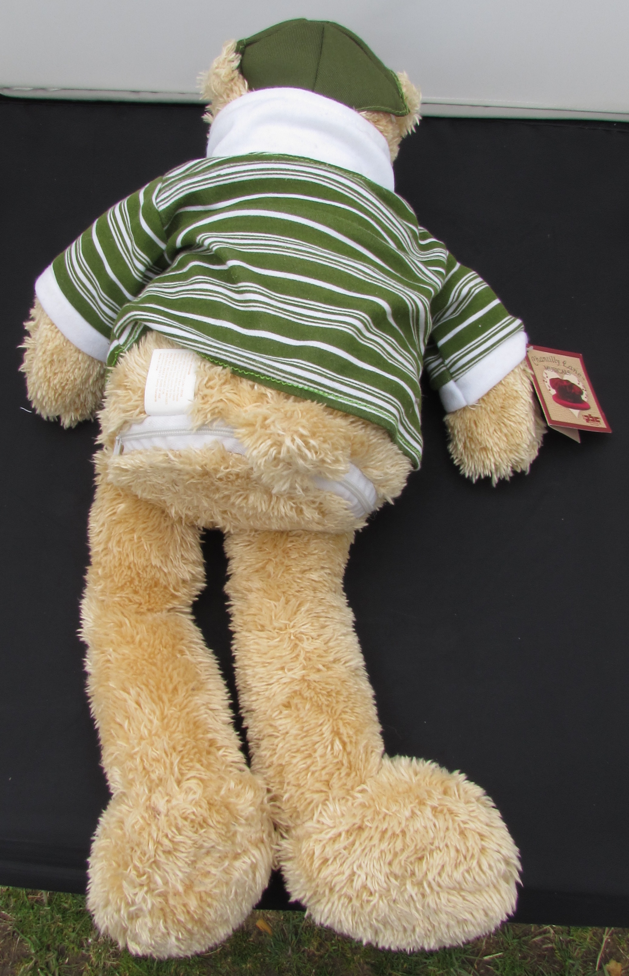 Singing Animated Bear by Chantilly Lane Musicals