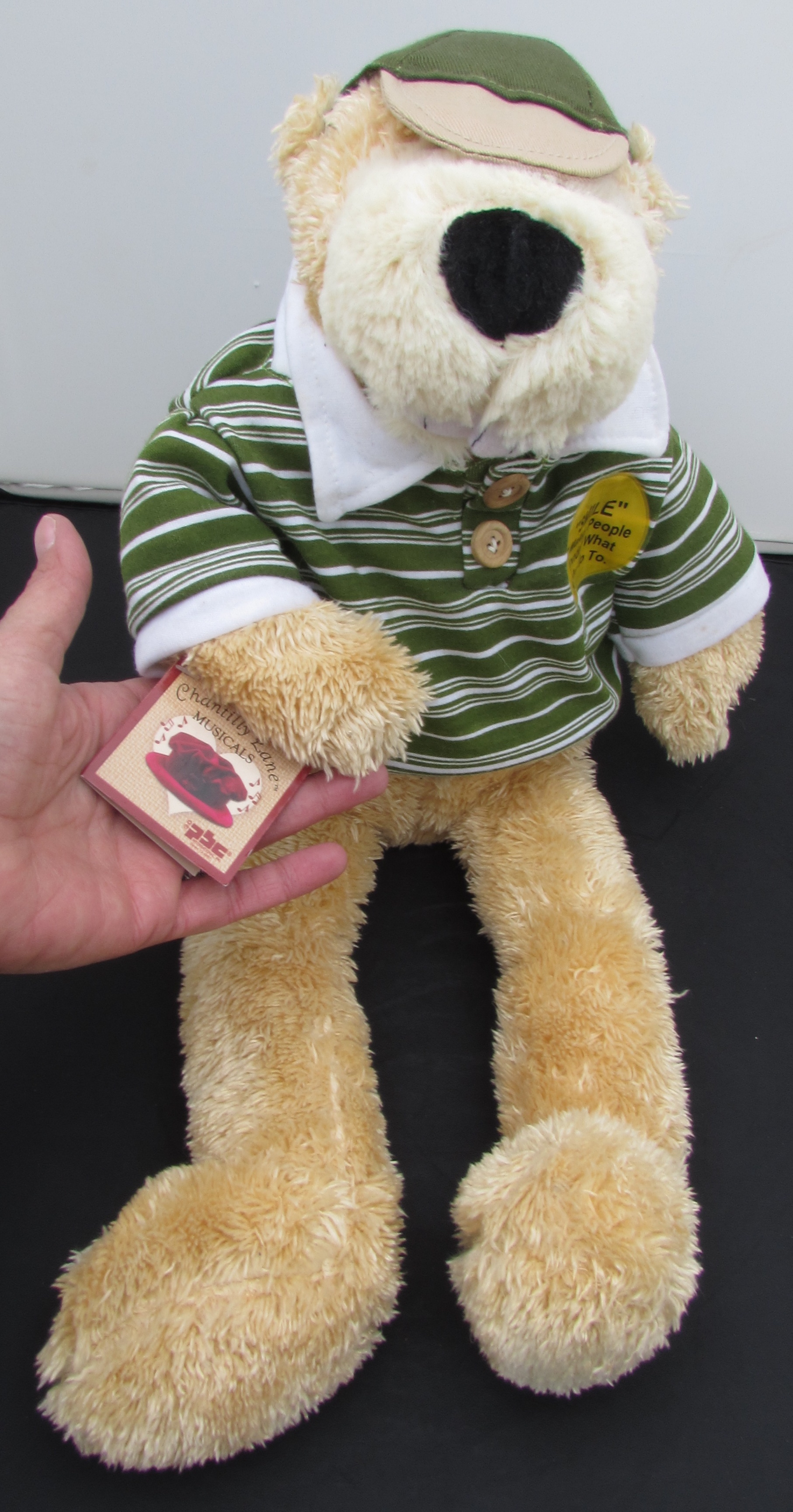 Singing Animated Bear by Chantilly Lane Musicals