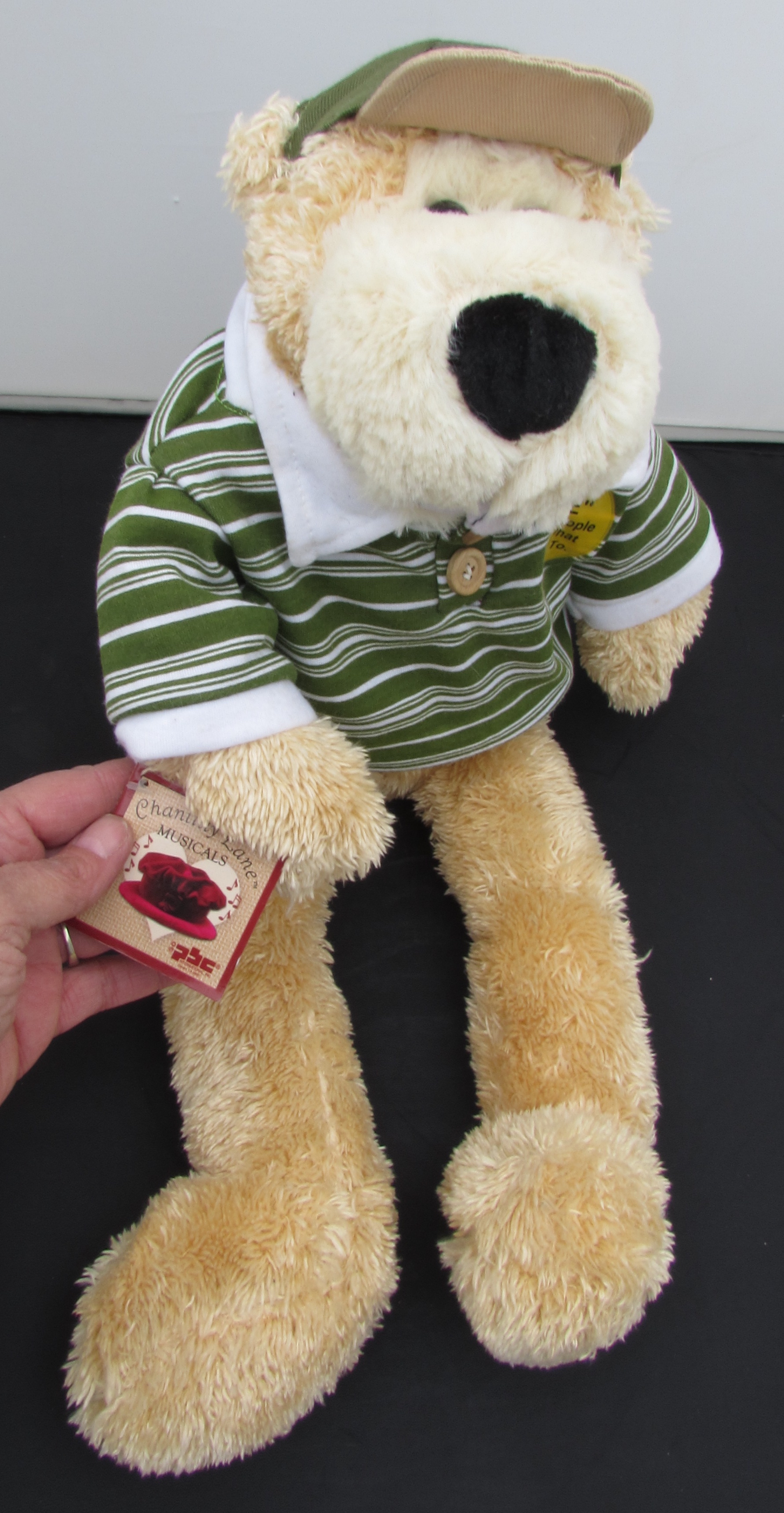 Singing Animated Bear by Chantilly Lane Musicals