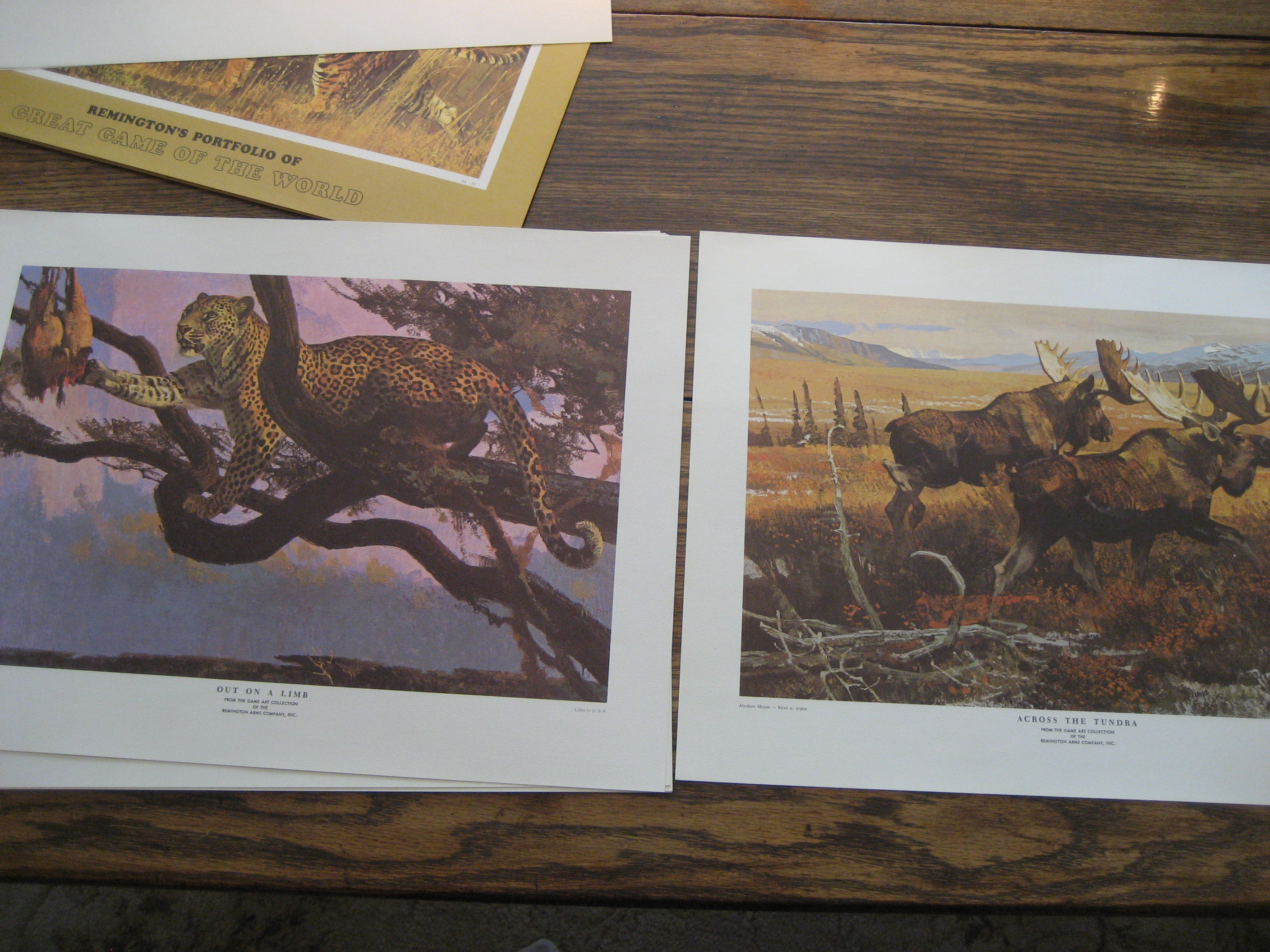 Remington's Portfolio of Great Game of the World