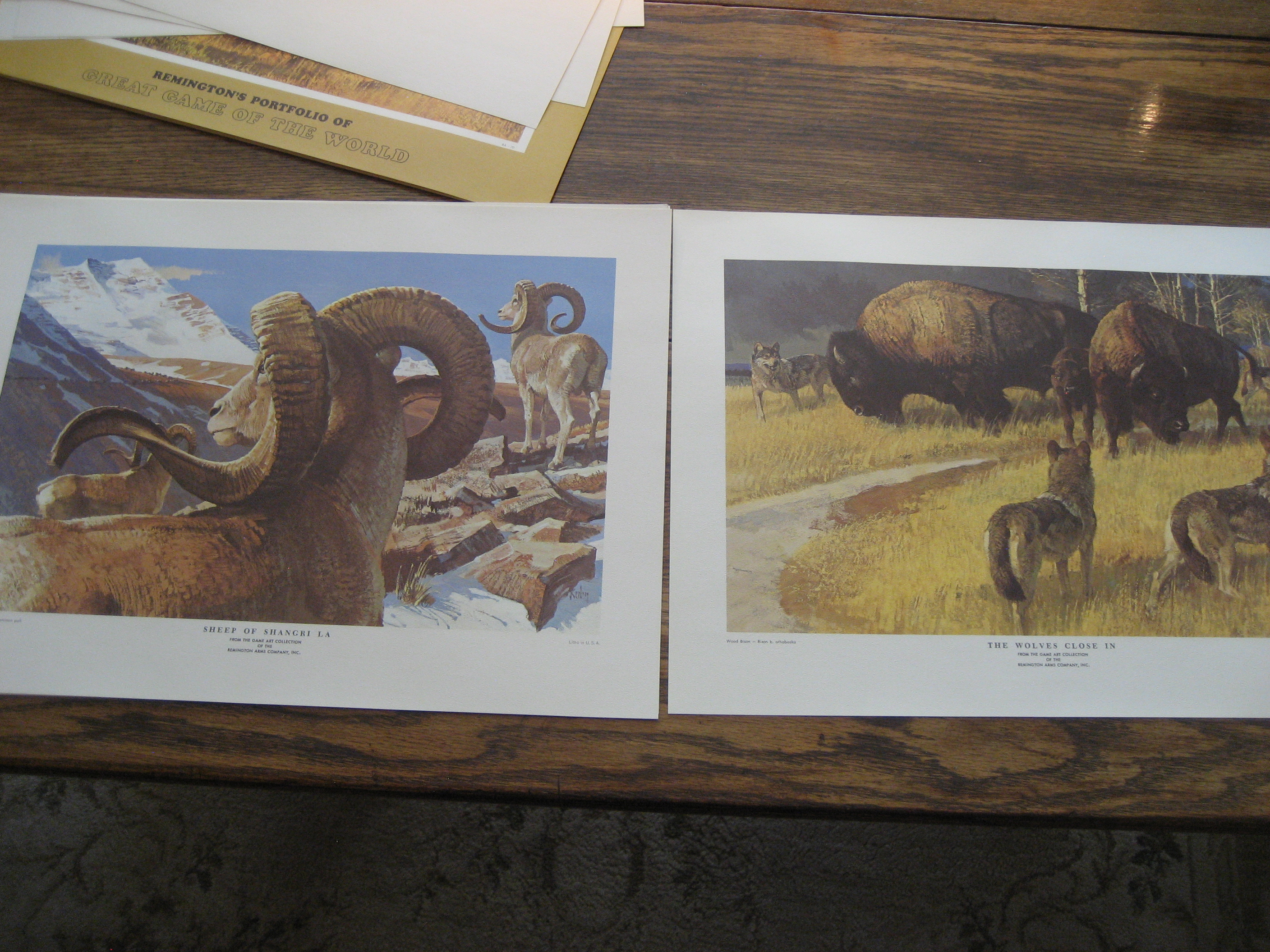 Remington's Portfolio of Great Game of the World