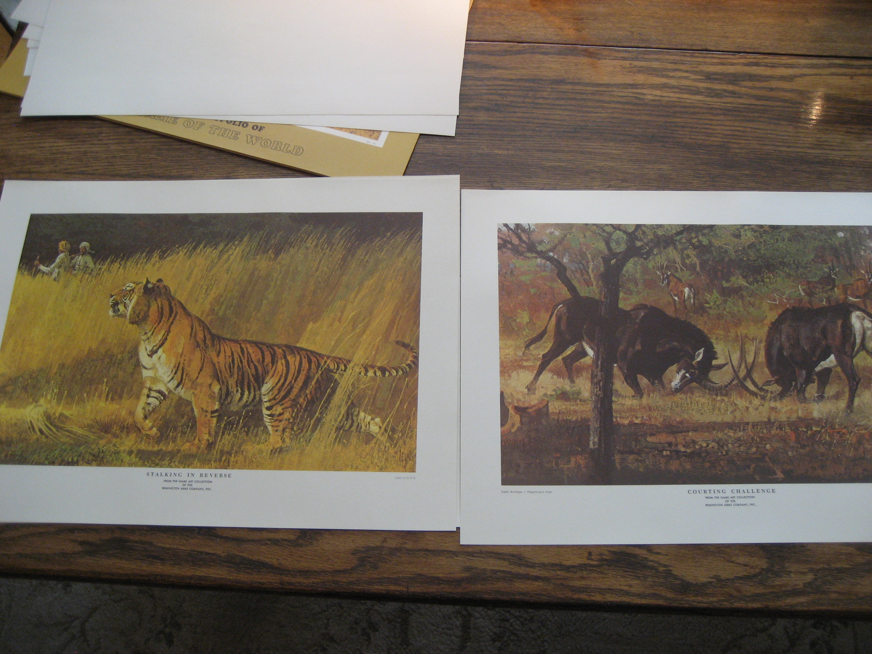 Remington's Portfolio of Great Game of the World