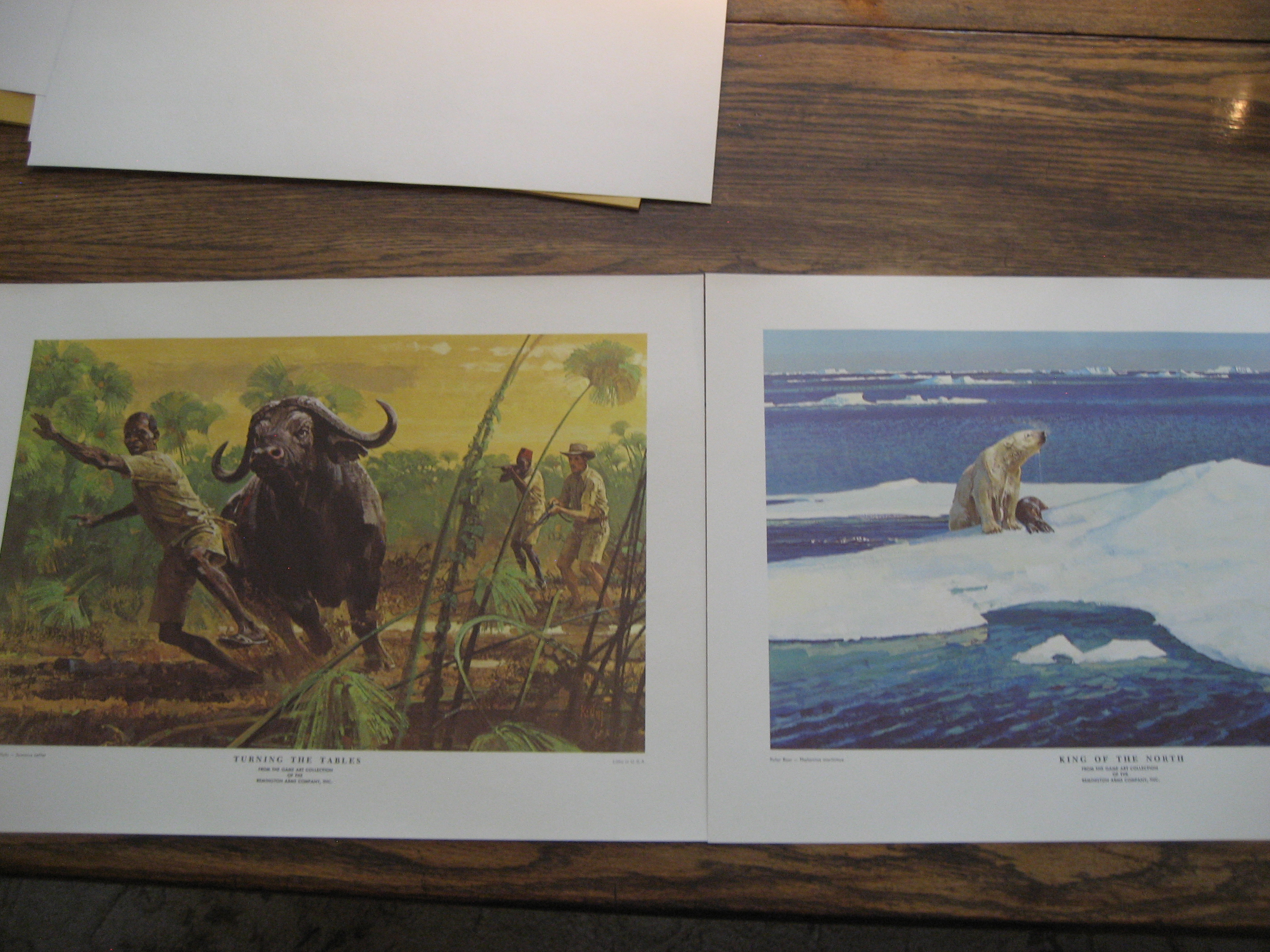 Remington's Portfolio of Great Game of the World