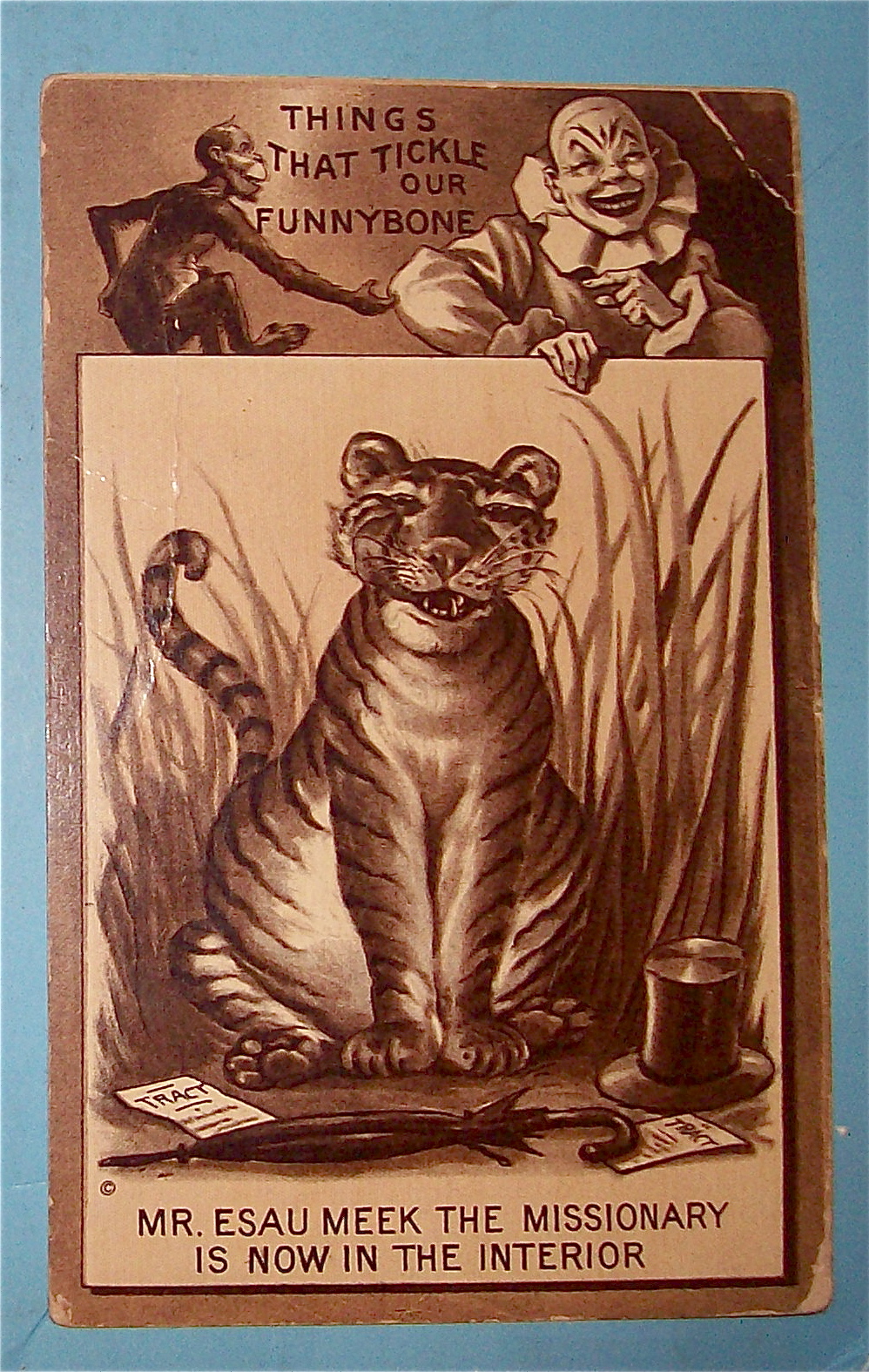 Smiling Tiger Postcard