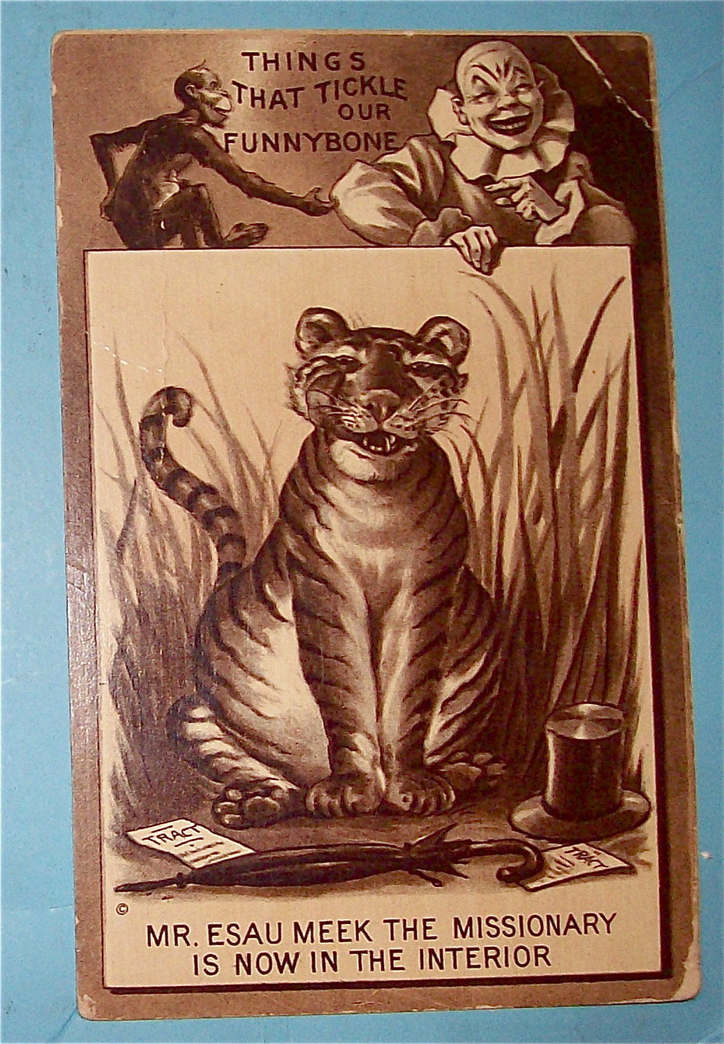 Smiling Tiger Postcard