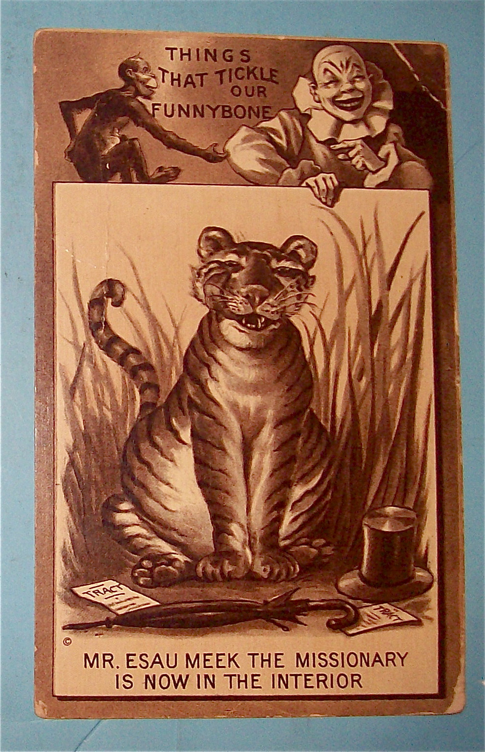 Smiling Tiger Postcard